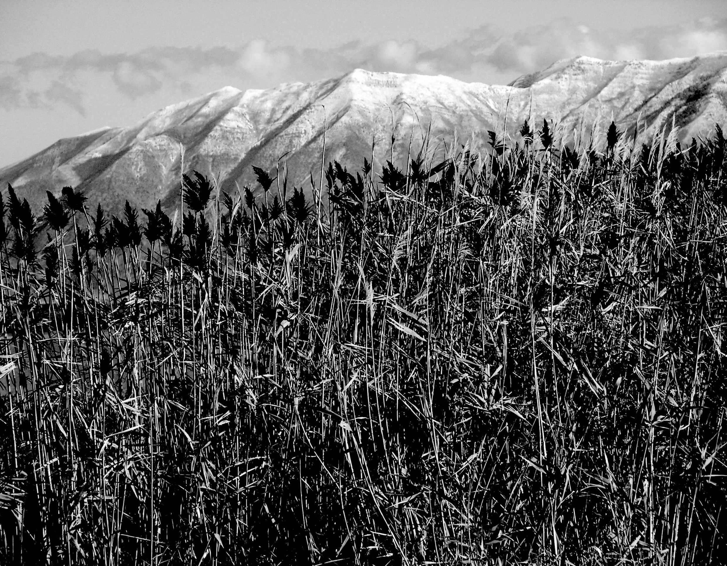 100_1185.JPG