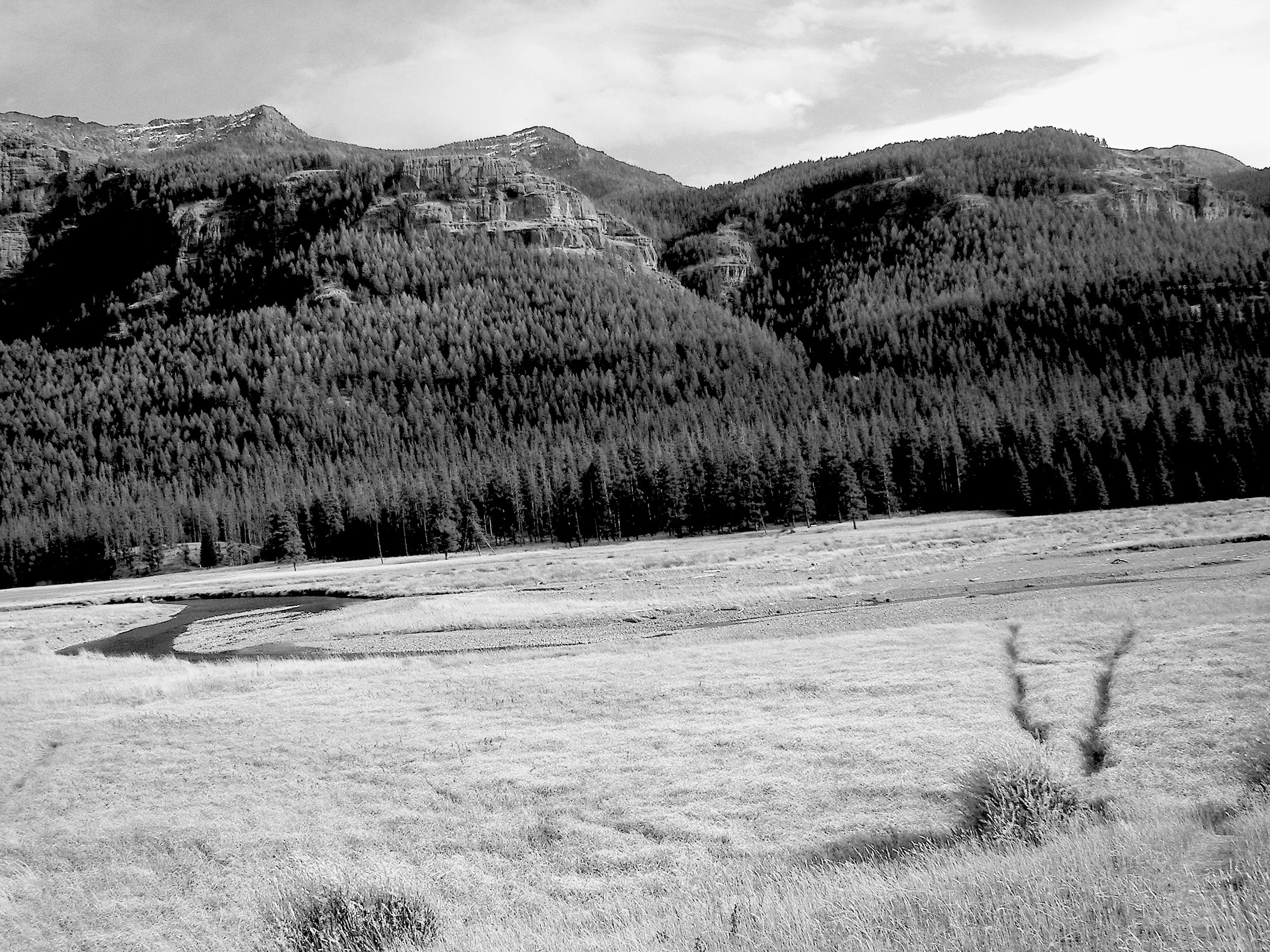 100_0694_1.JPG