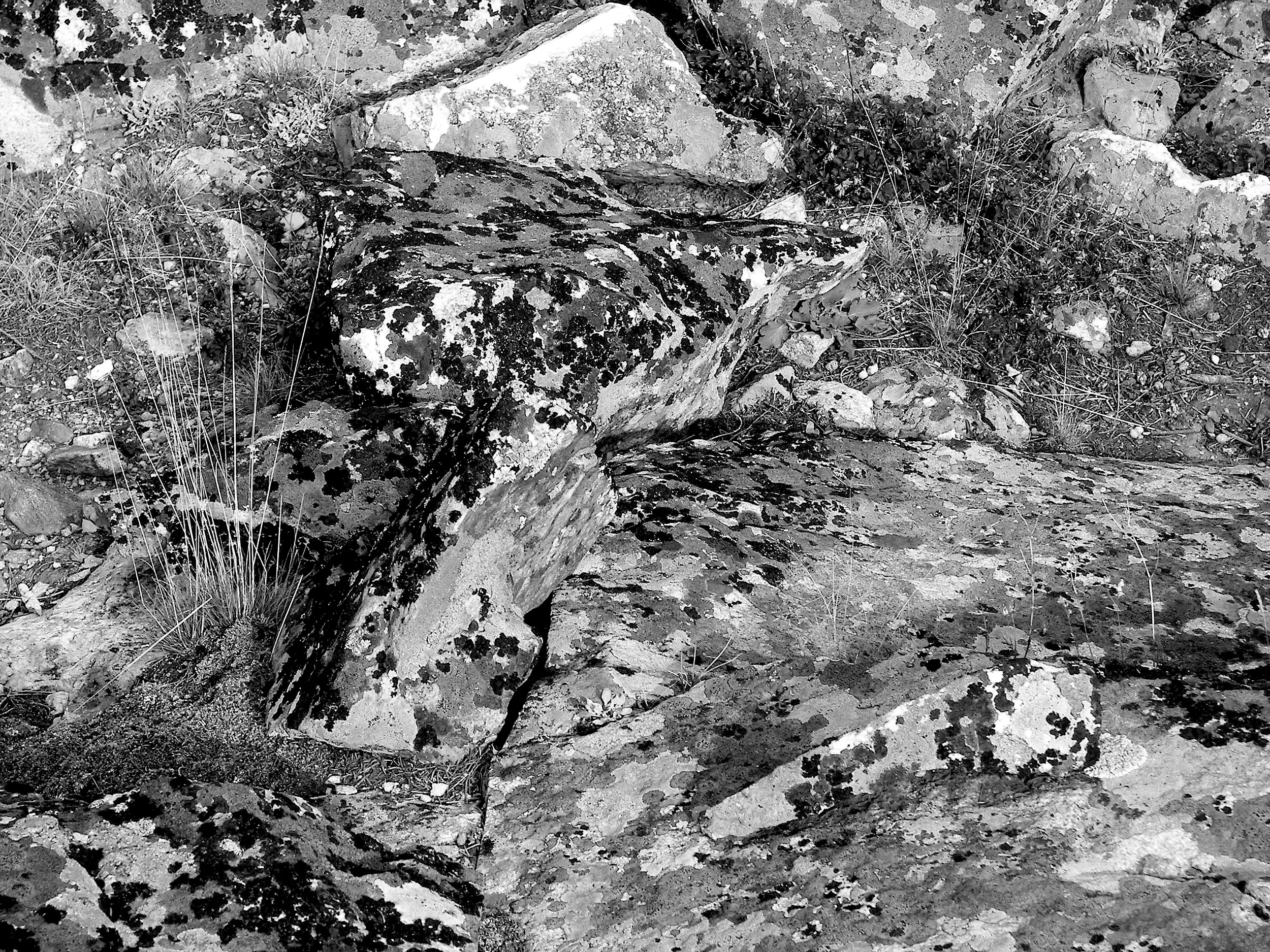 100_0747.JPG