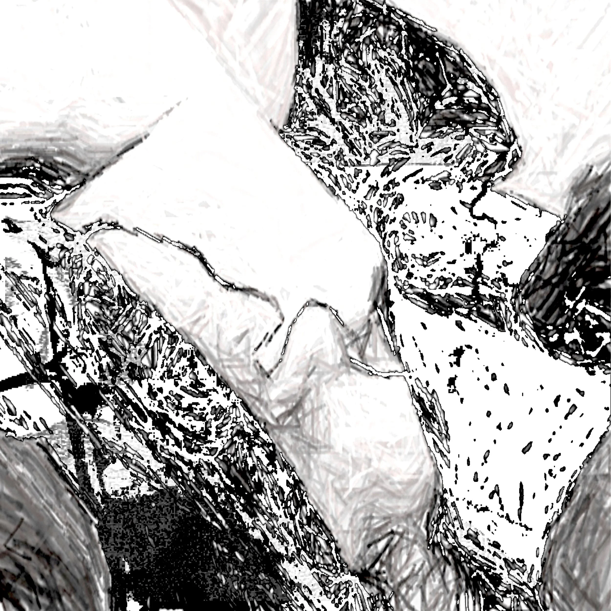 Morphology 4