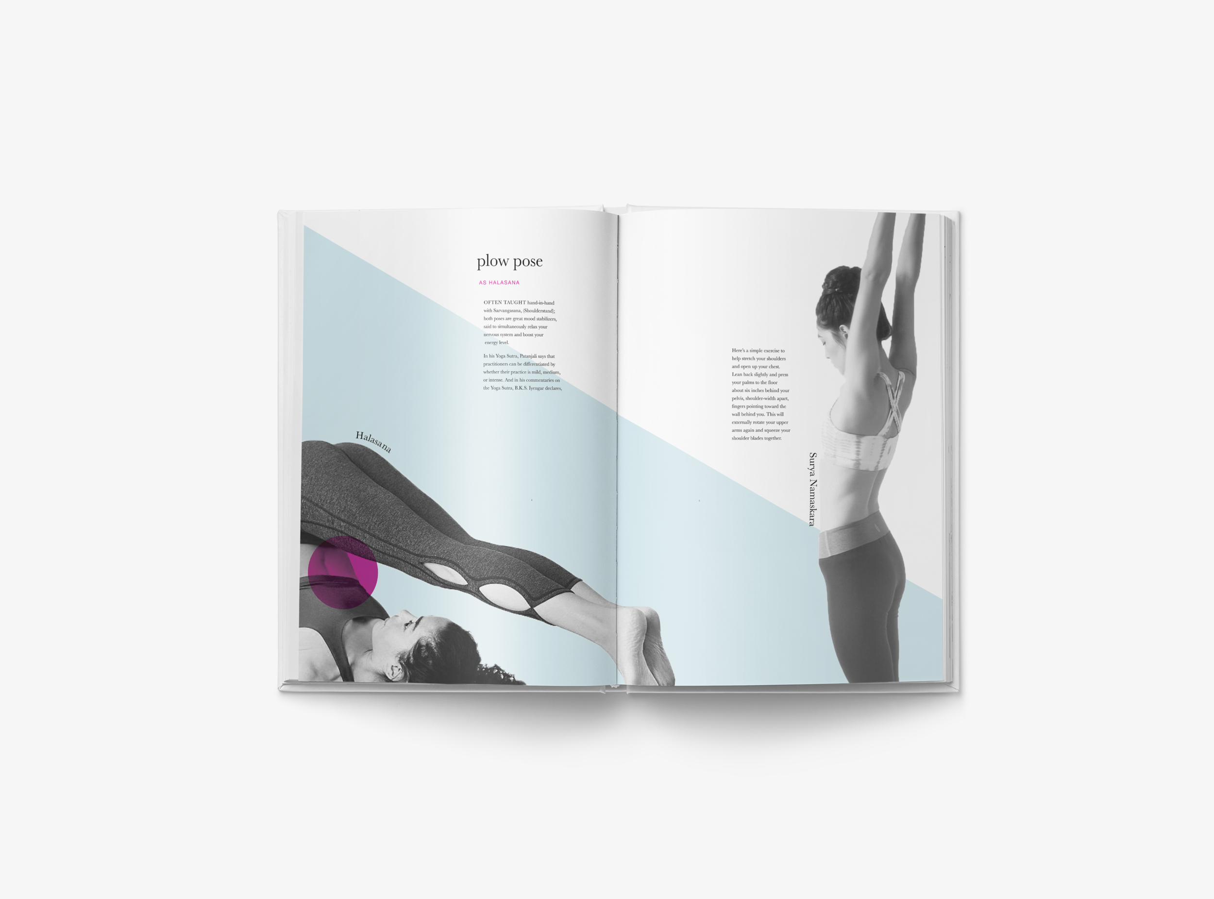 yoga3.png