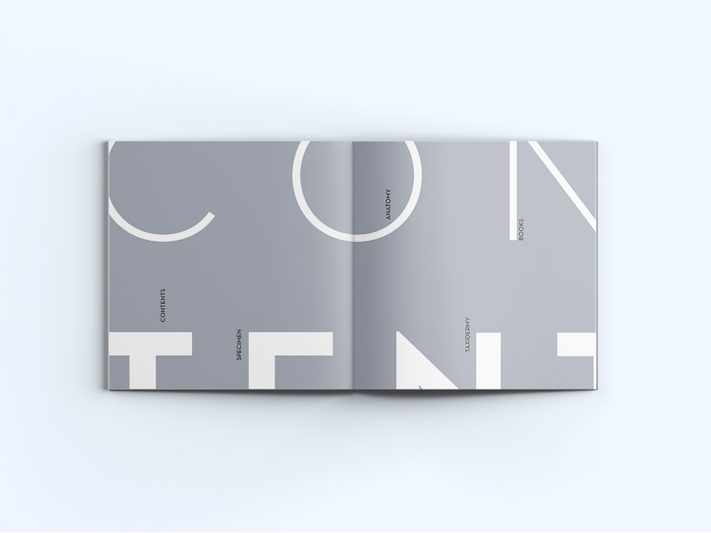 '.png