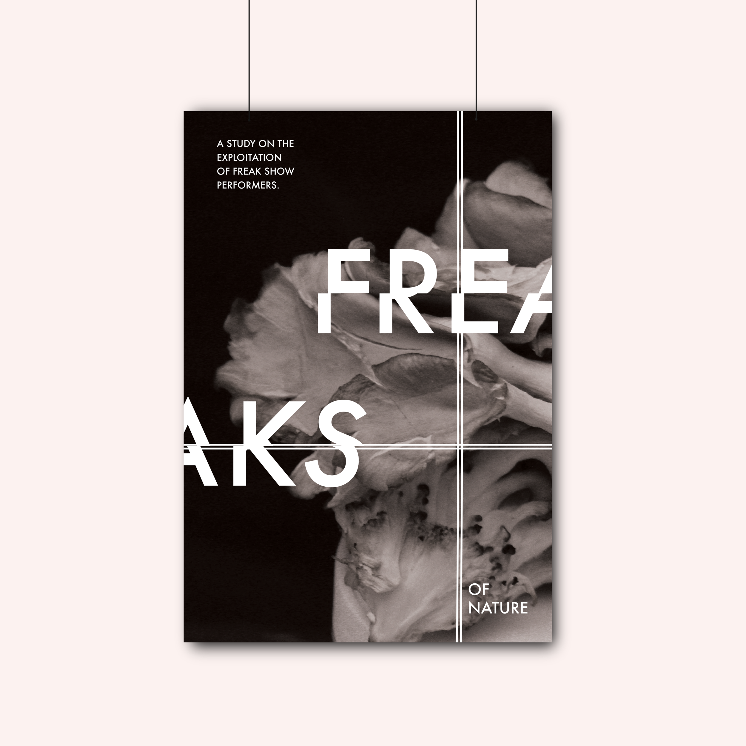 poster.png