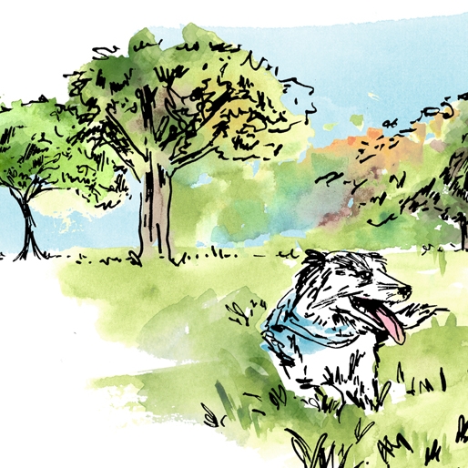 alden park for web illo_1.jpg