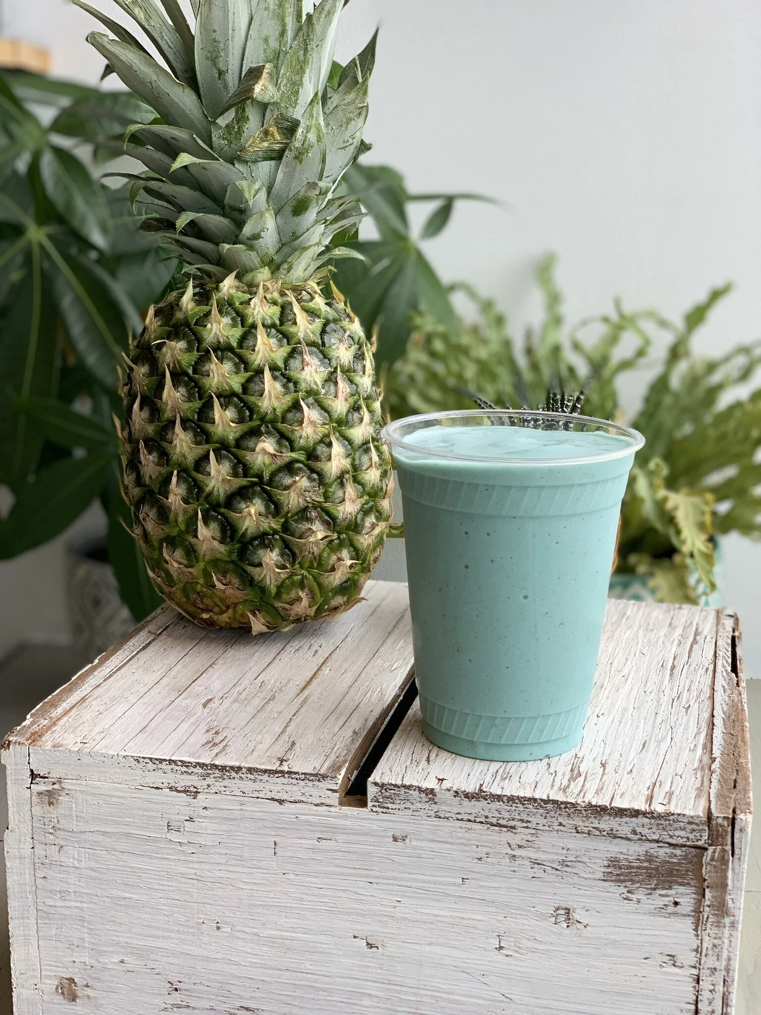 Superfood Highlight Spirulina and Blue Majik What's the Difference