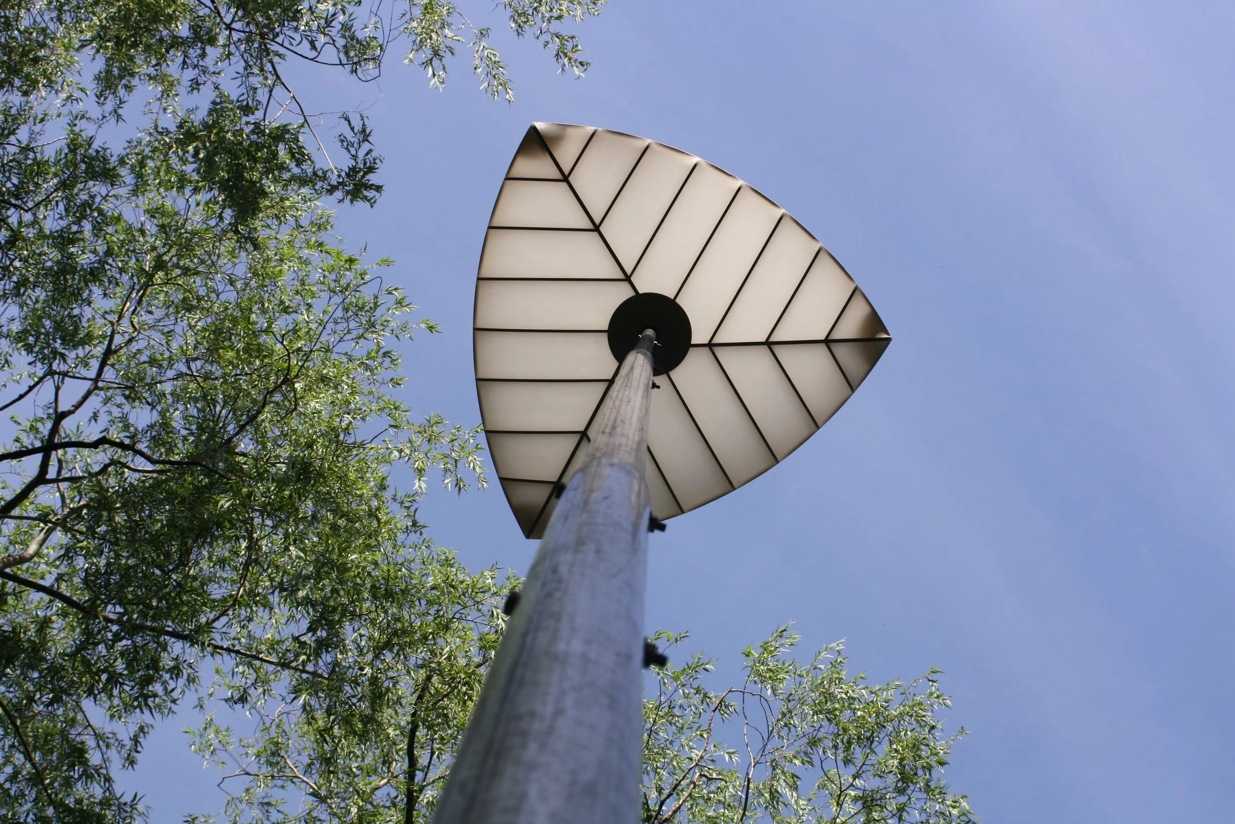 foil detail.jpg