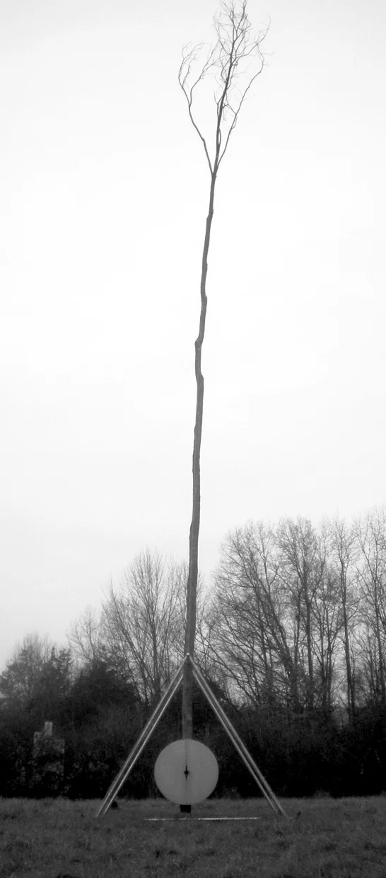 Tree.jpg