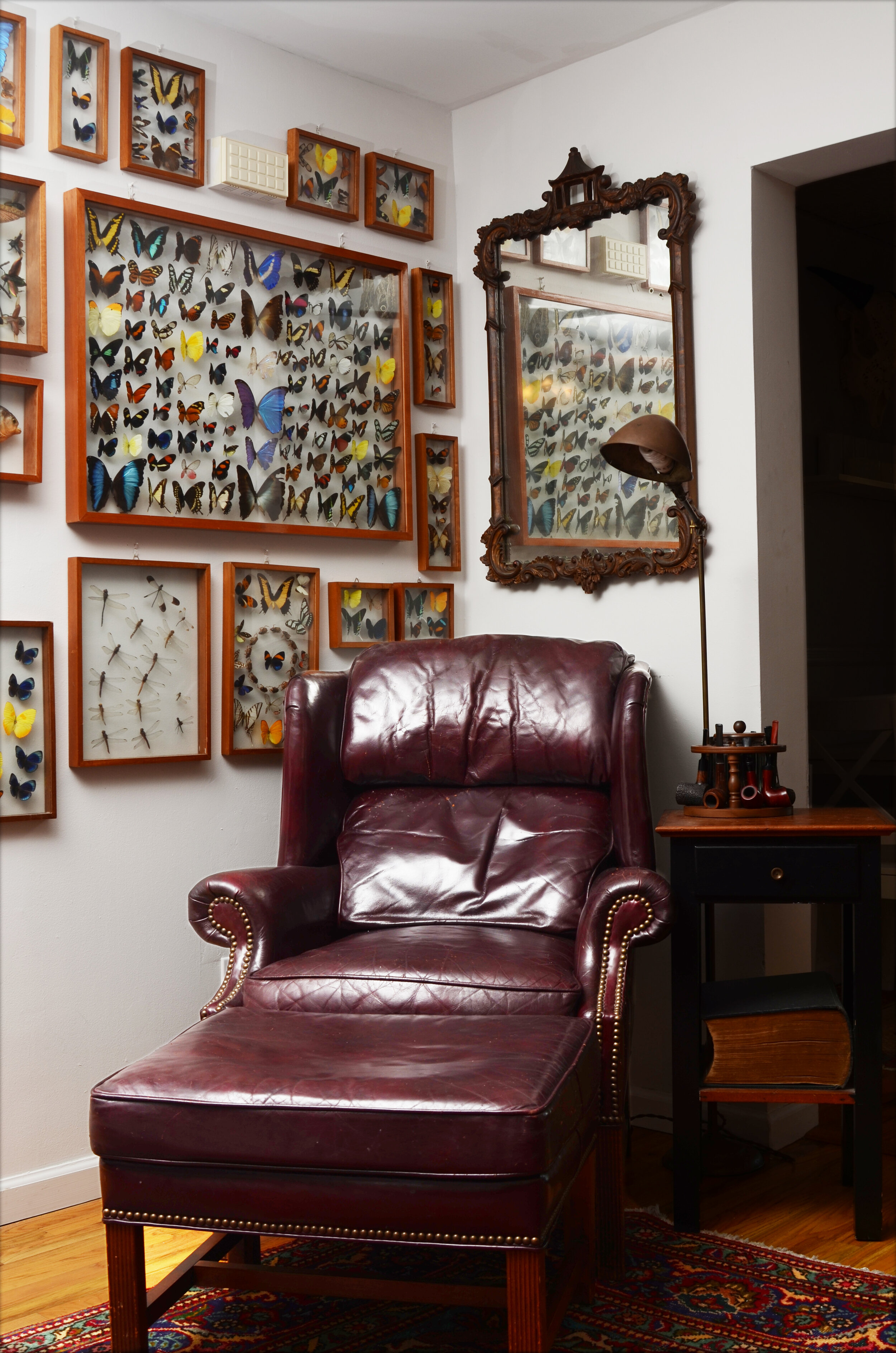 corner chair and butterfly wall.jpg