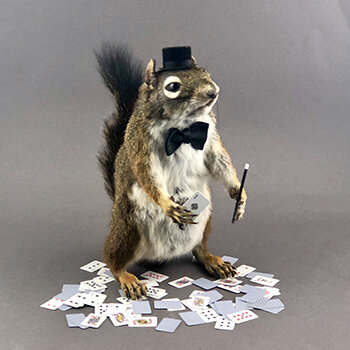 350x350 magician squirrel.JPEG