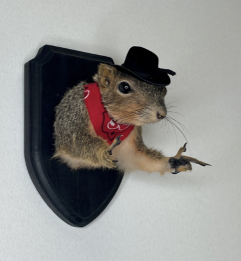 Squirrel Cowboy half.png