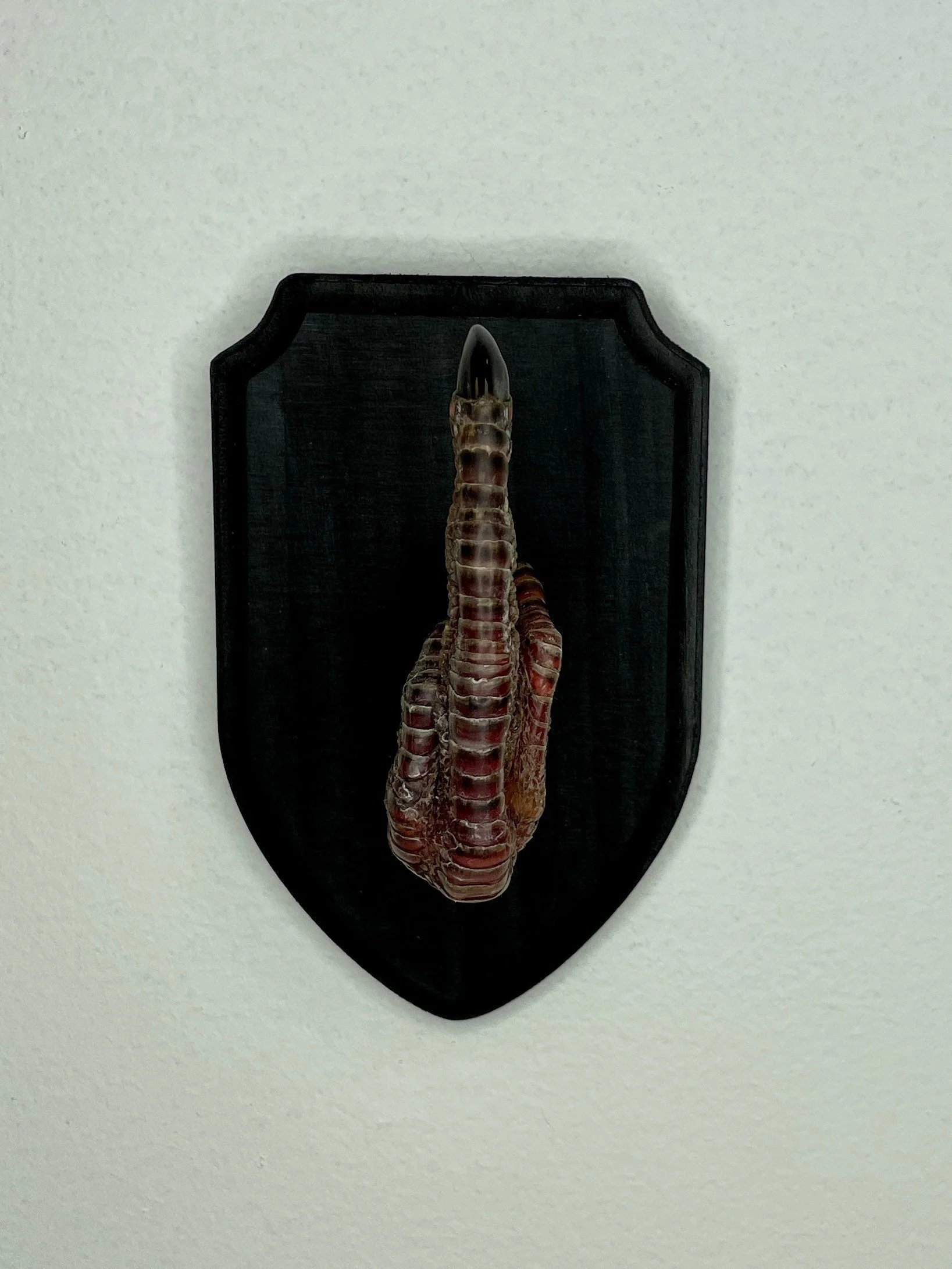 https://i.etsystatic.com/7422640/r/il/c62055/4372159504/il_fullxfull.4372159504_sbbc.jpg