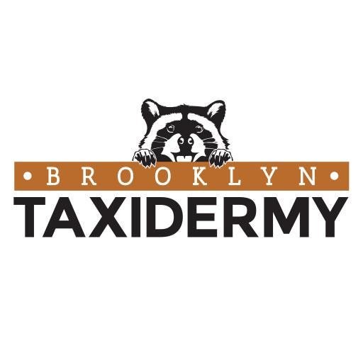 https://i.etsystatic.com/7422640/r/il/d0b497/7231406118/il_fullxfull.7231406118_e4bt.jpg