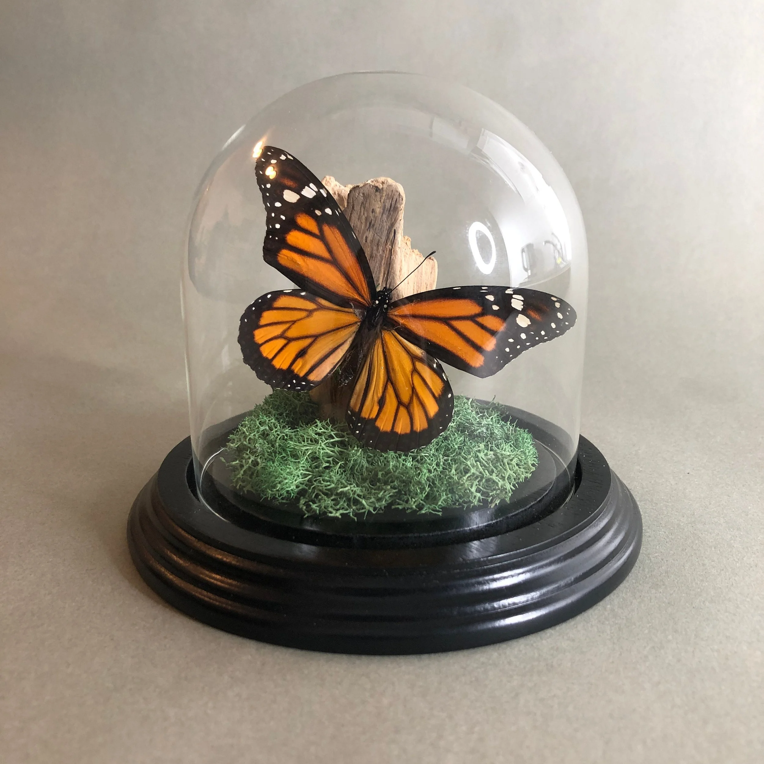 https://i.etsystatic.com/7422640/r/il/cd5e77/3839501696/il_fullxfull.3839501696_q8z7.jpg