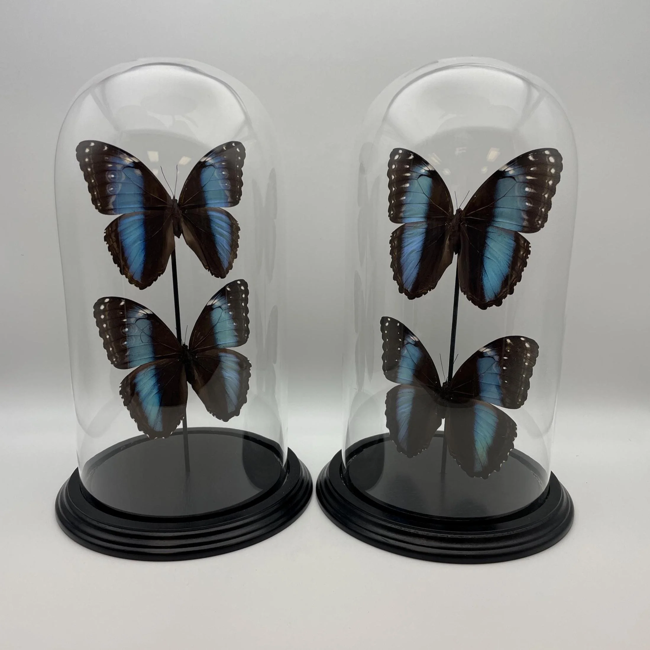 https://i.etsystatic.com/7422640/r/il/26a024/6898970745/il_fullxfull.6898970745_ohxx.jpg
