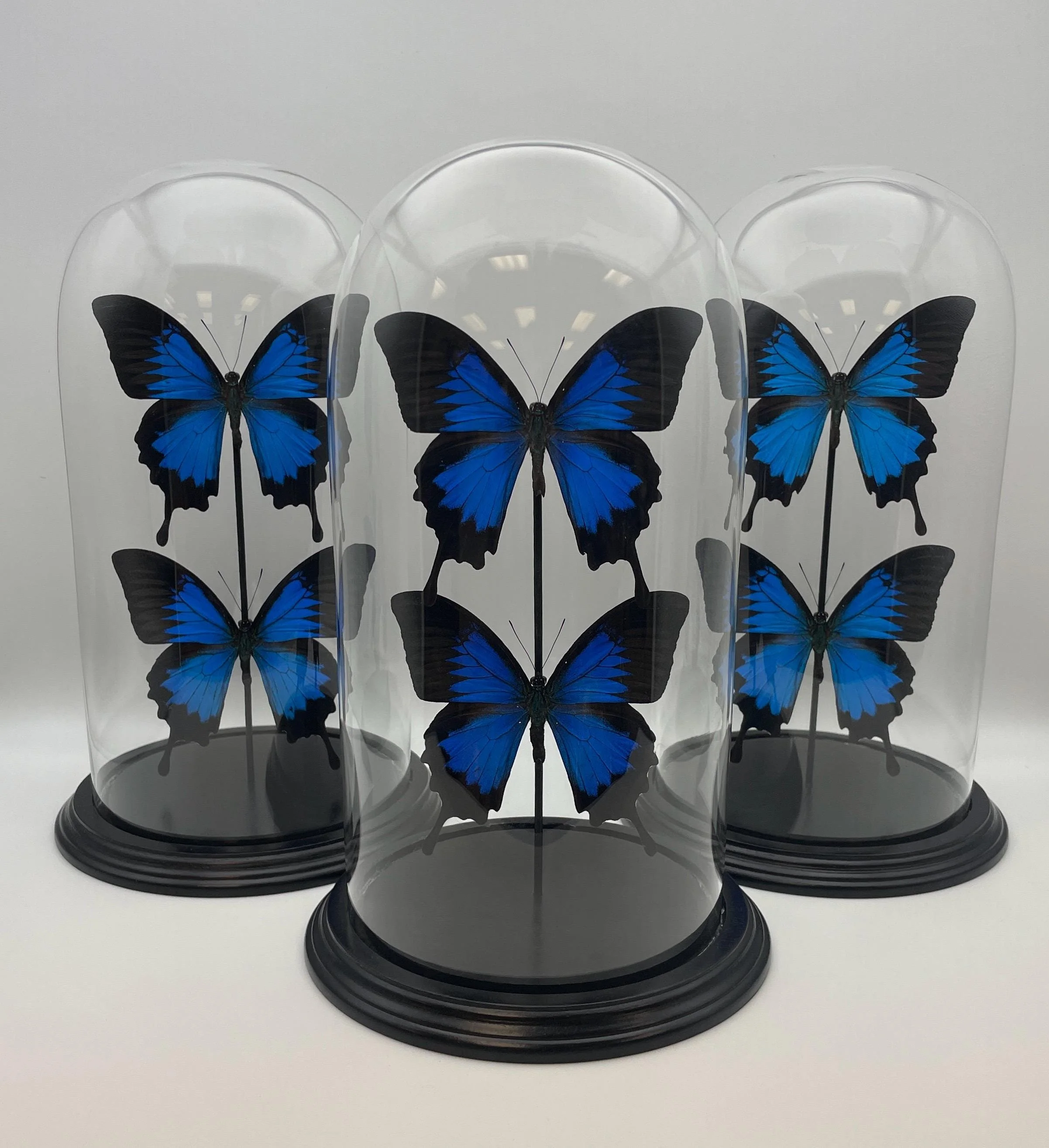 https://i.etsystatic.com/7422640/r/il/0f7c49/6851016224/il_fullxfull.6851016224_q297.jpg