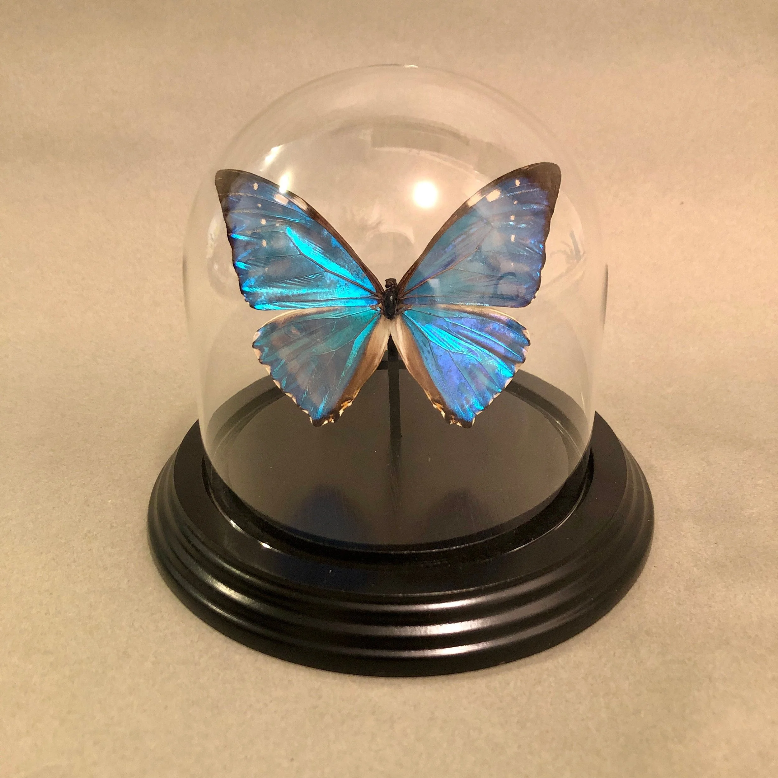 https://i.etsystatic.com/7422640/r/il/50fa63/3886952773/il_fullxfull.3886952773_ans2.jpg