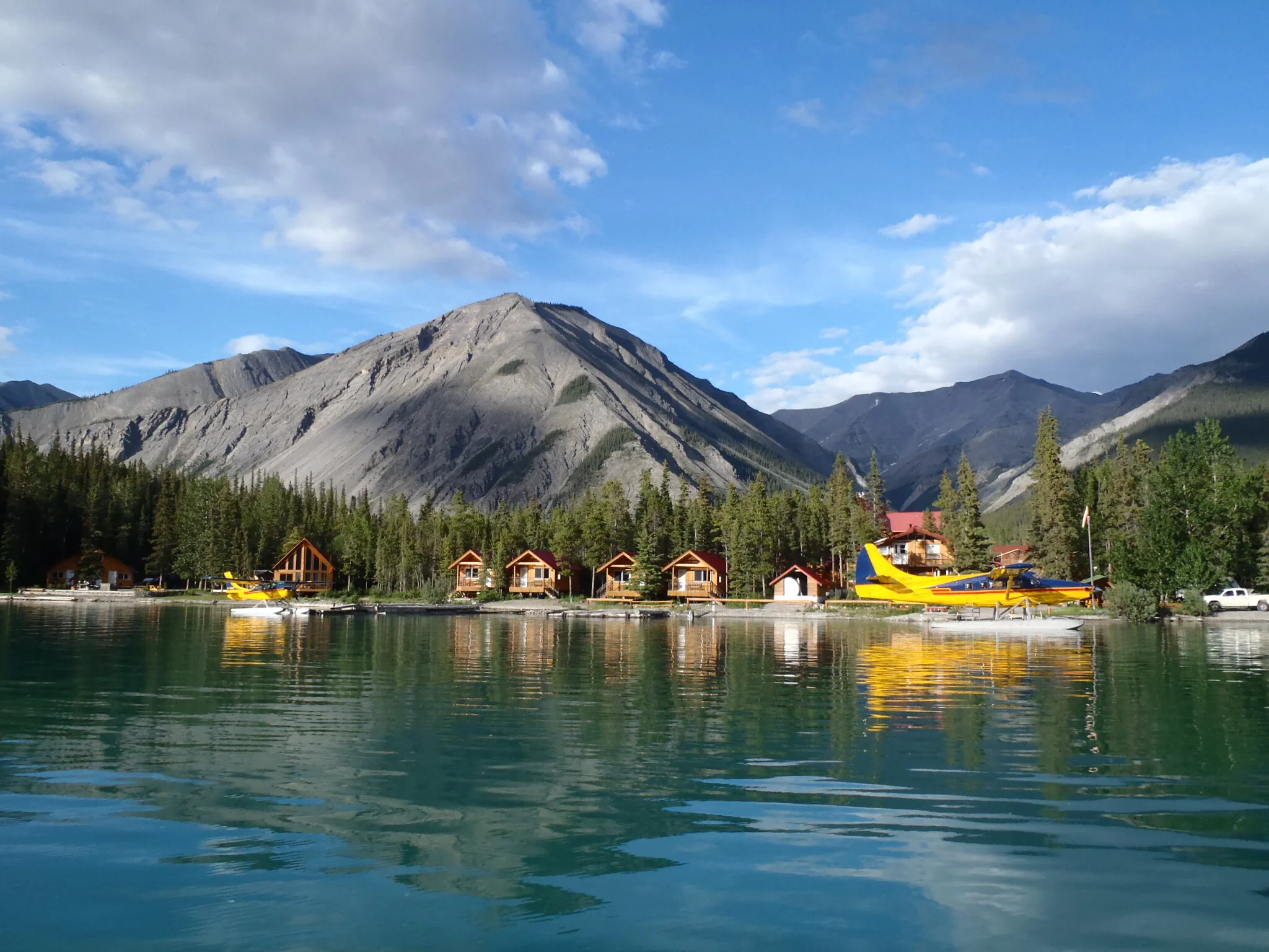 Lakeshore, beaver, otter.JPG