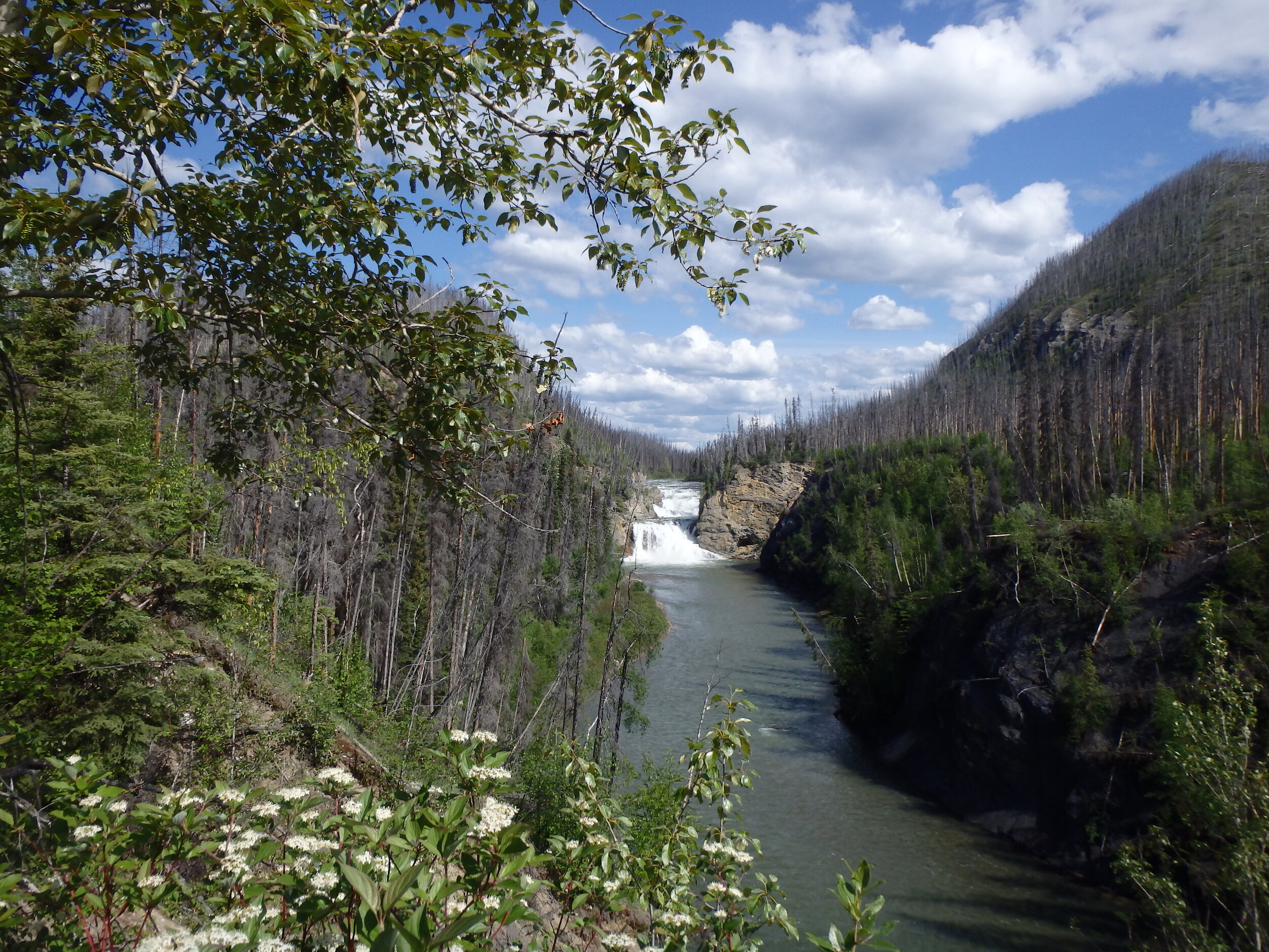 Smith River Falls