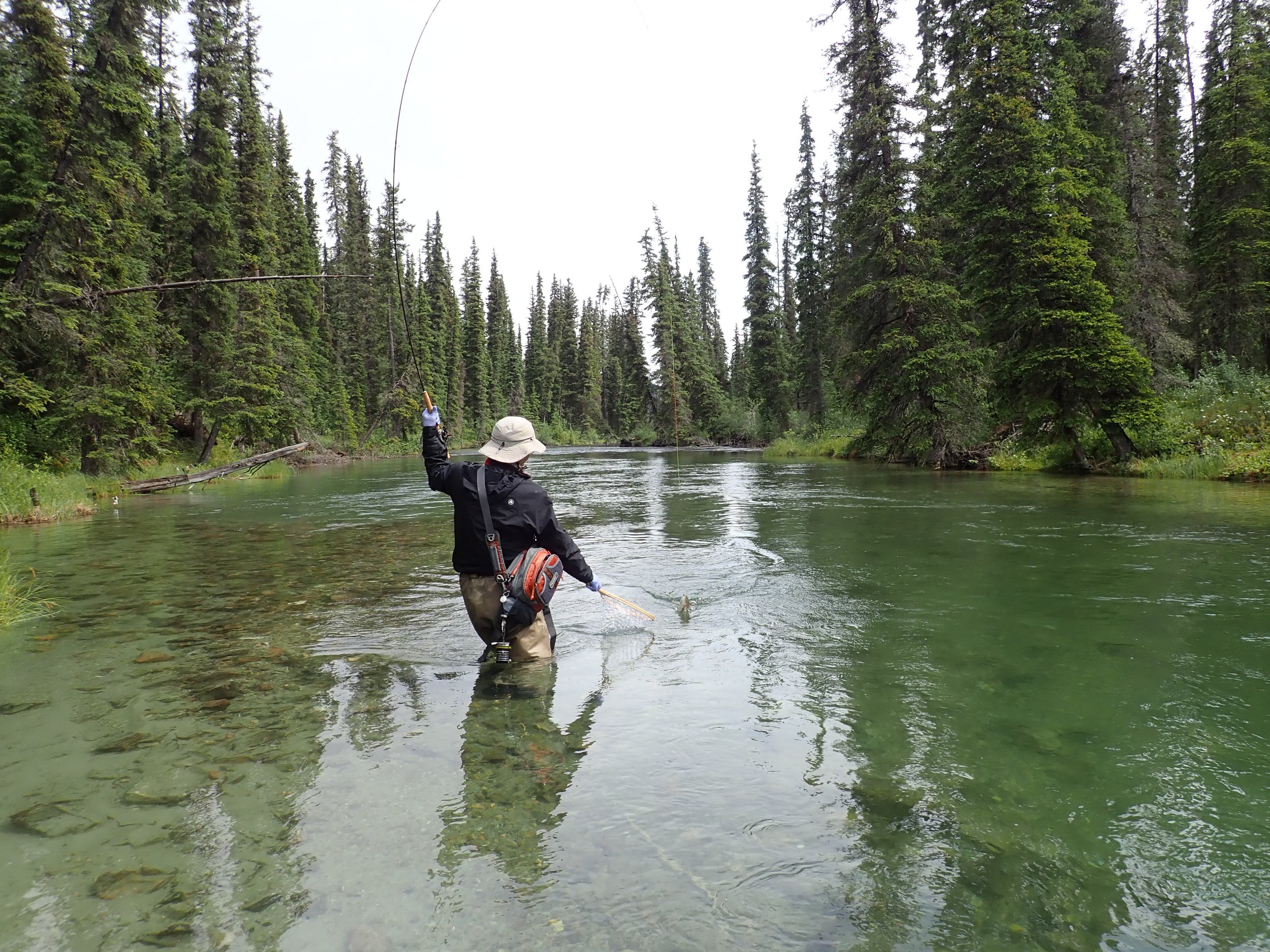 Premium Canadian Fly in fishing trips — Northern Rockies