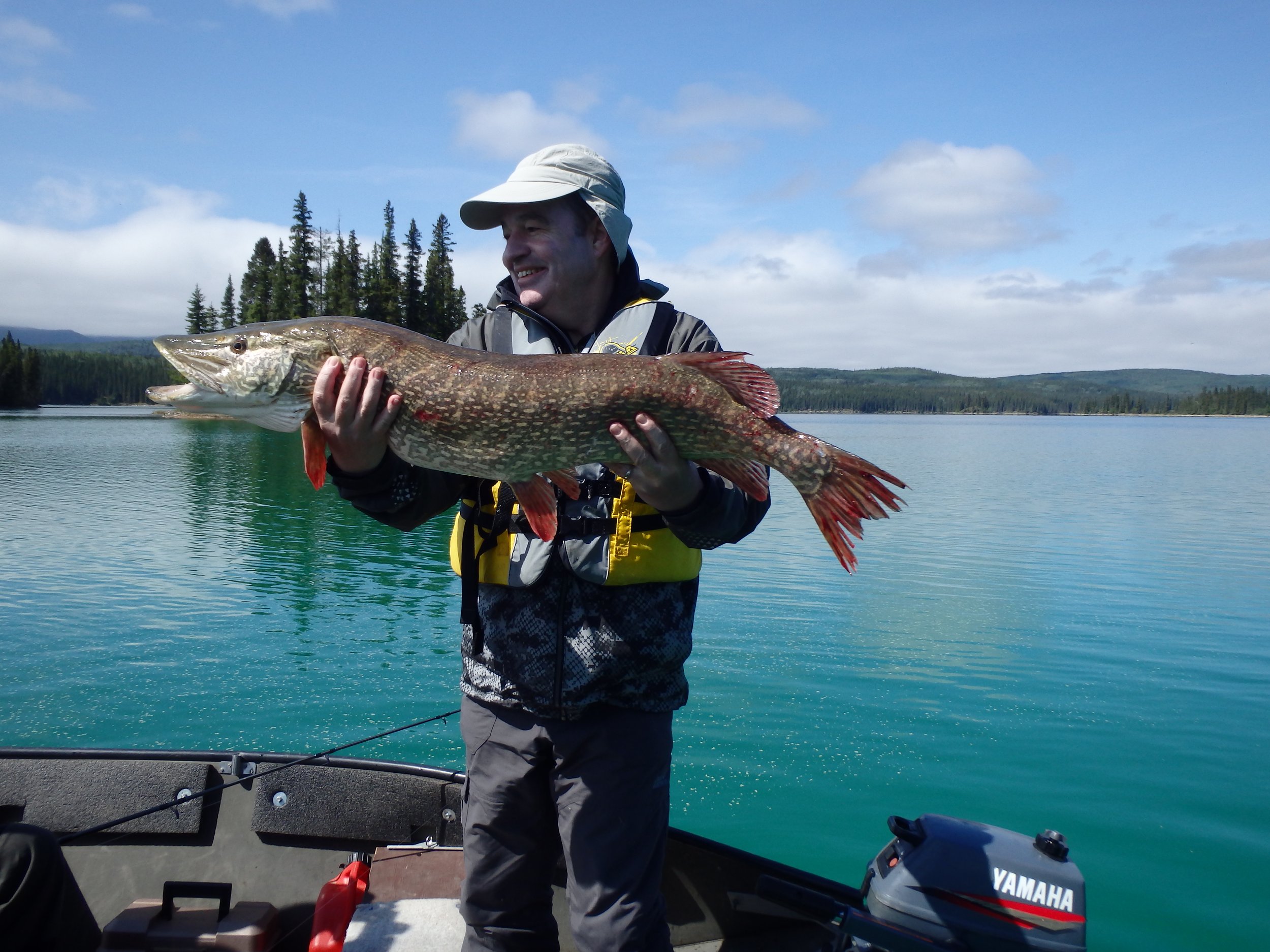 1. big pike guided northern bc spin casting spoon fishing.JPG