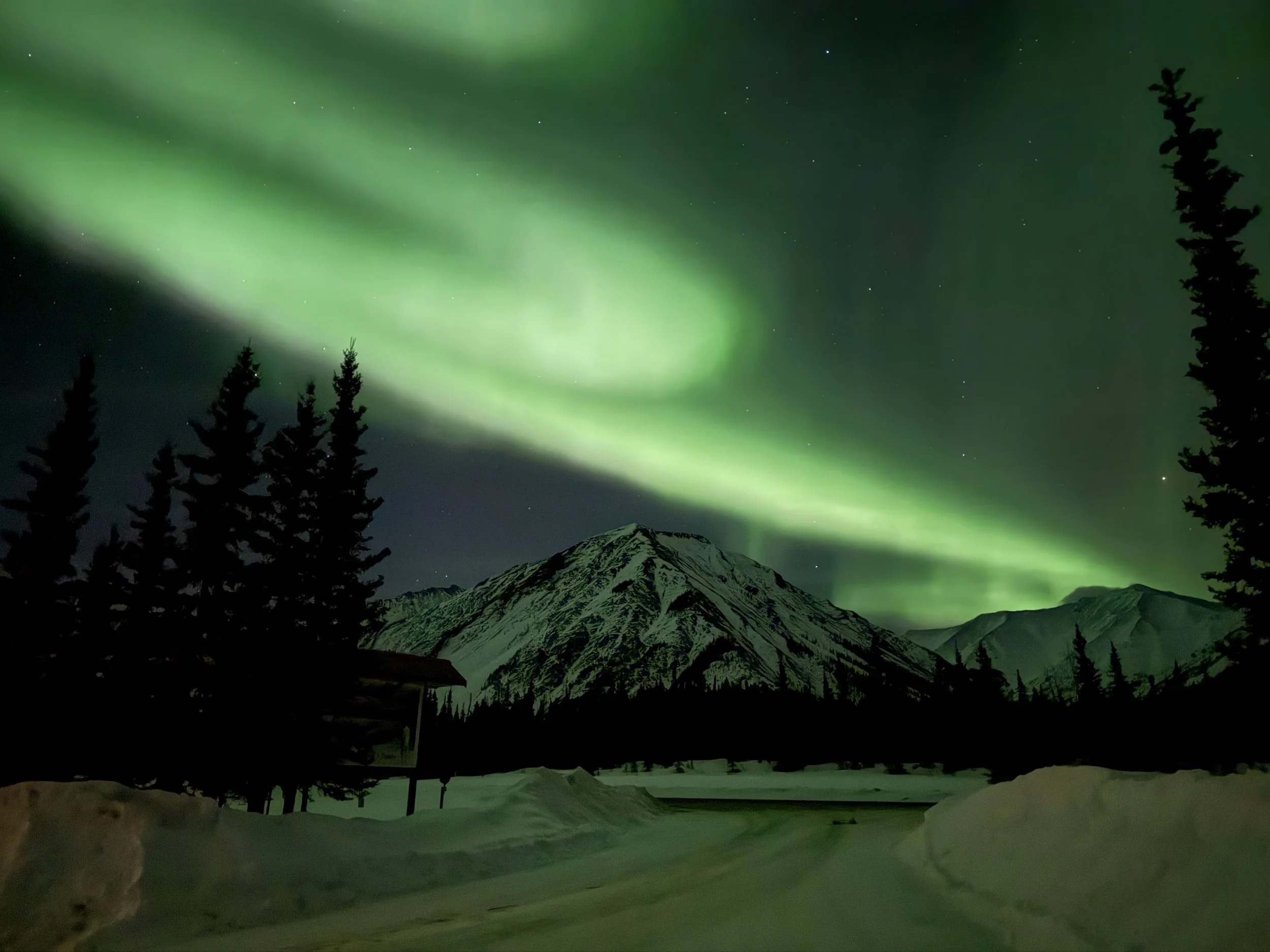 NRadventures Aurora feb 27, 20256.jpeg