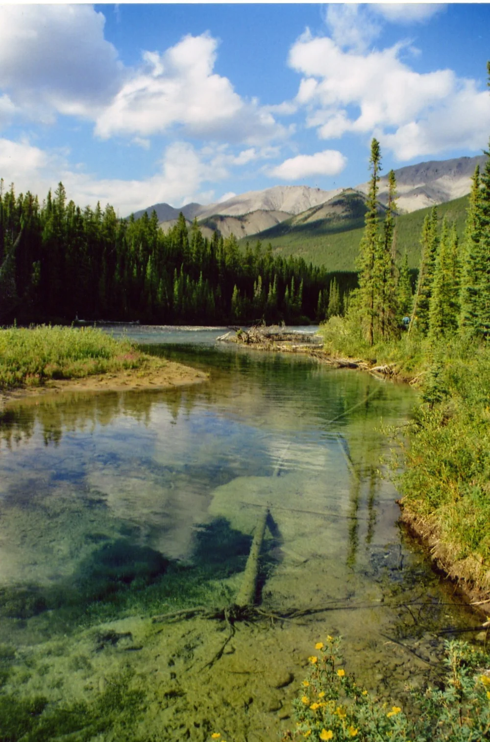 The Ultimate Guide to Fly-In Fishing Trips Canada — Northern Rockies ...