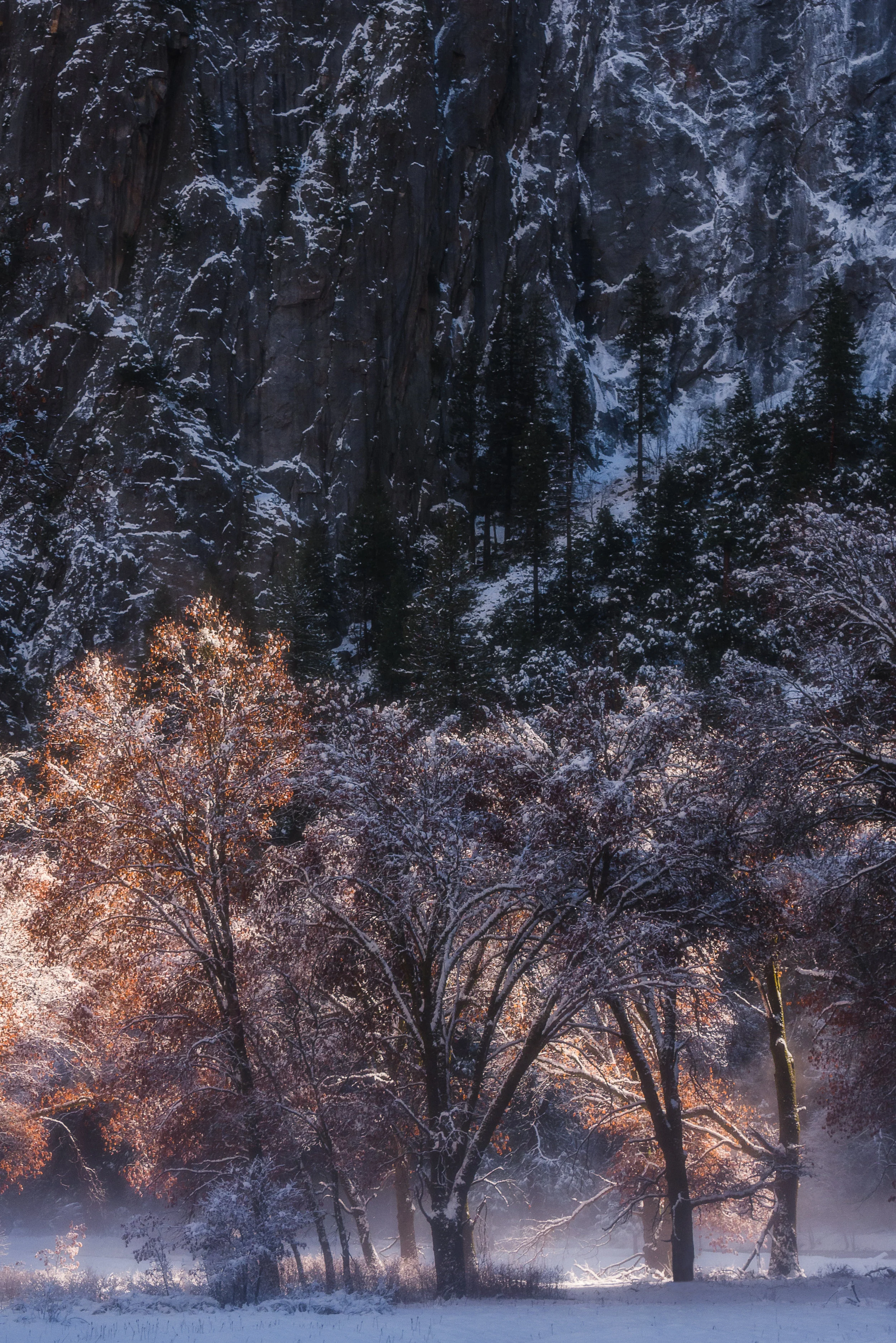 P1070411-Edit.jpg