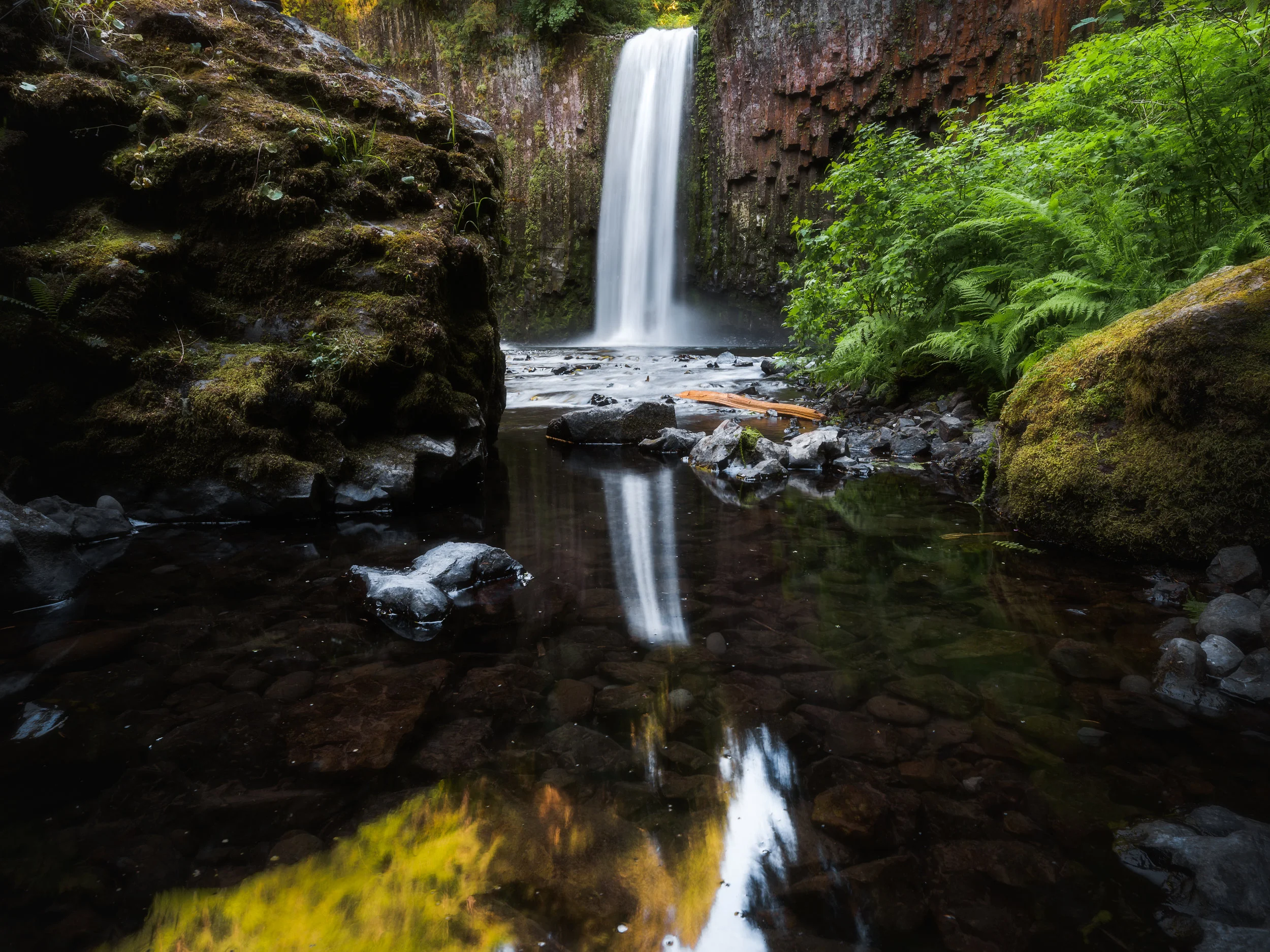 P1111230-Edit.jpg