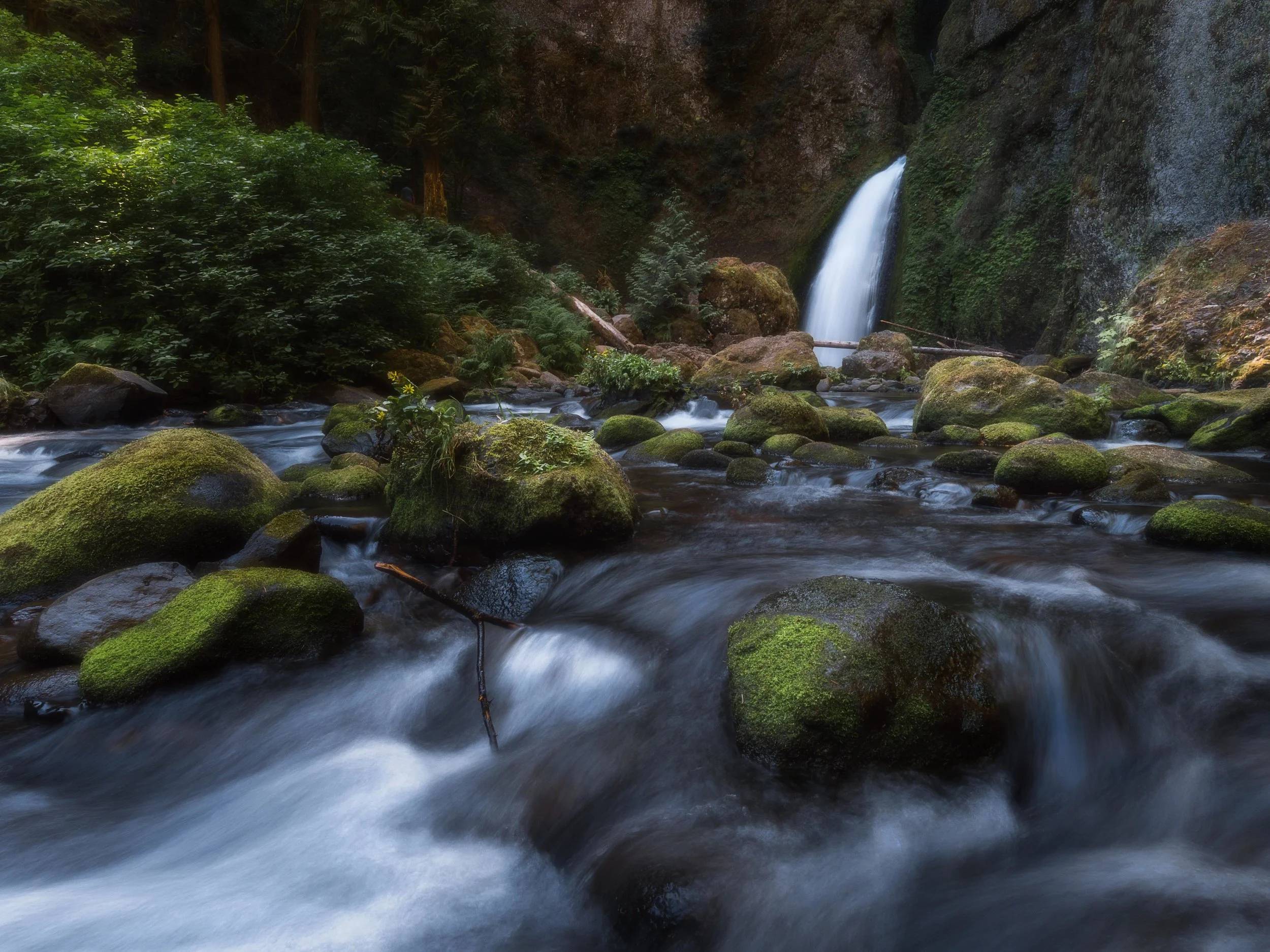P1000478-Edit.jpg