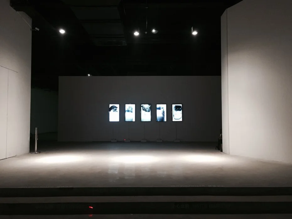 Exhibition at Hong Museum, Chengdu, China, 2016
