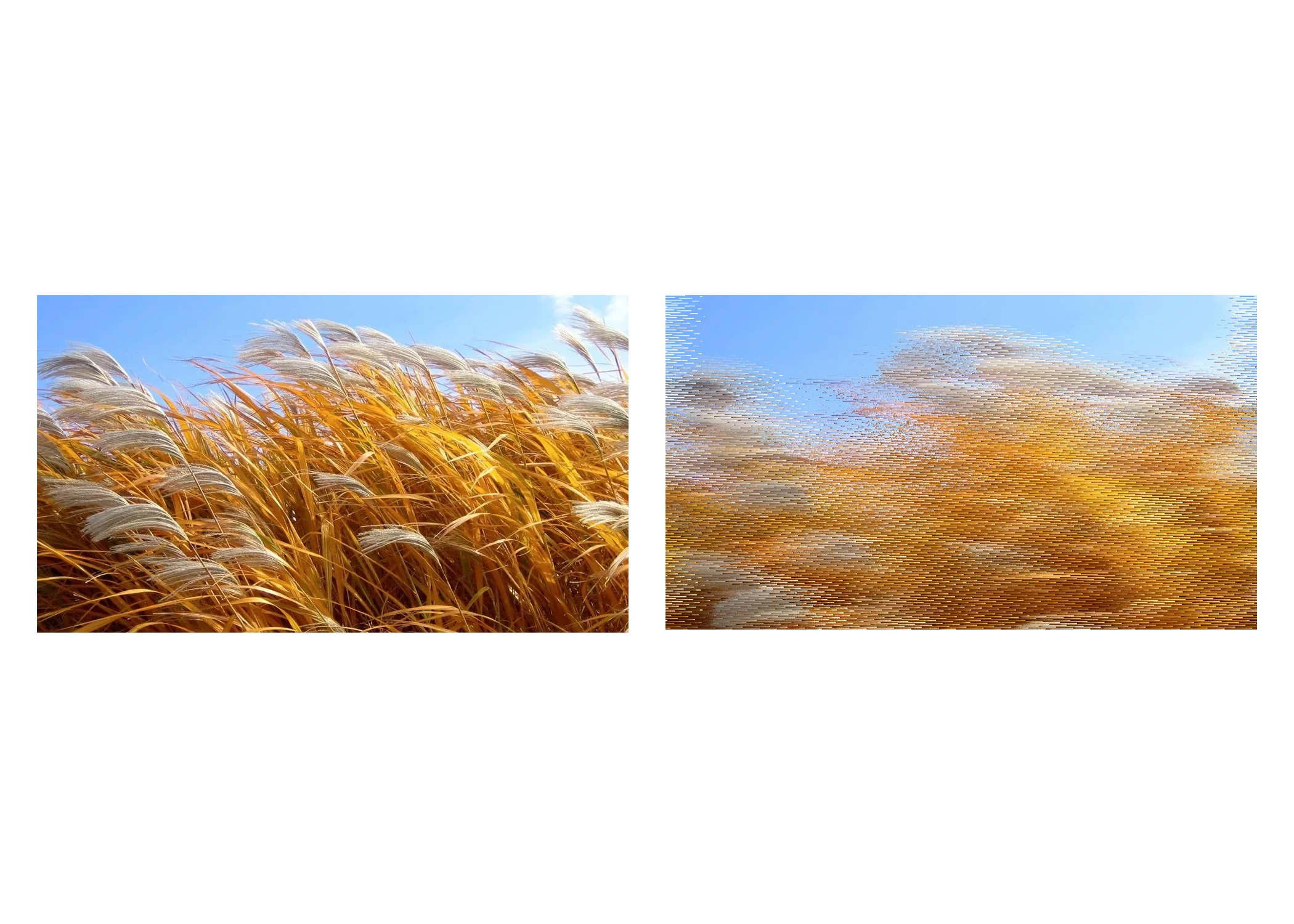Day097.jpg