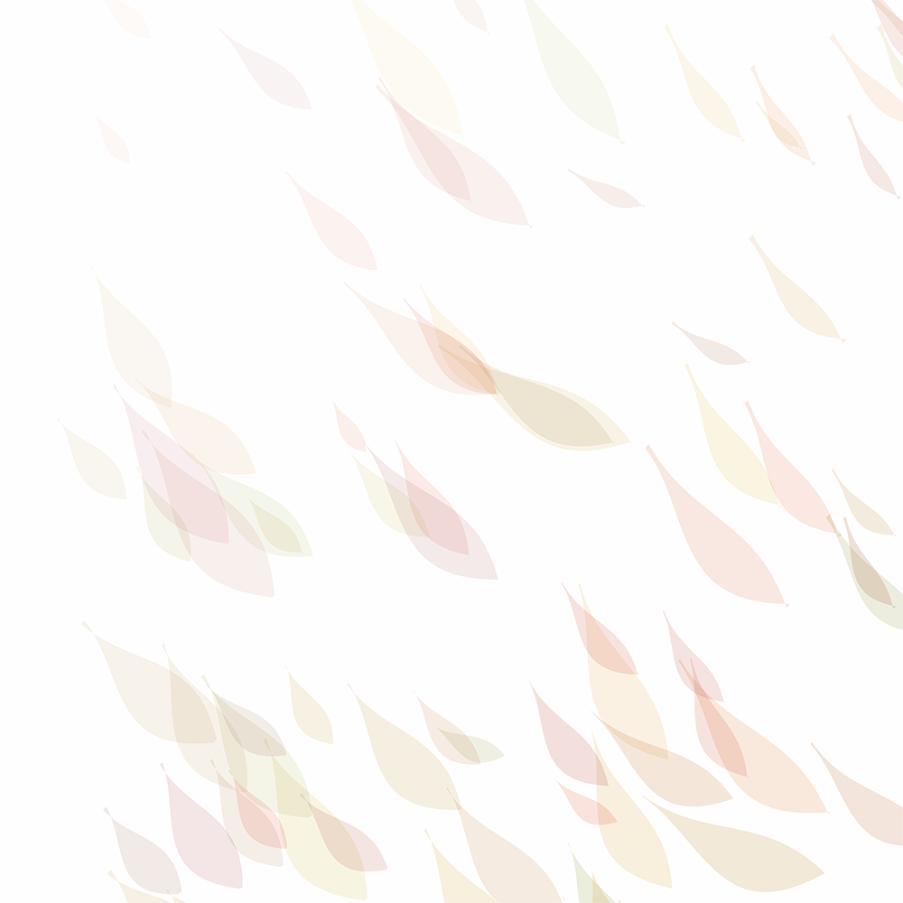 13 copy.png