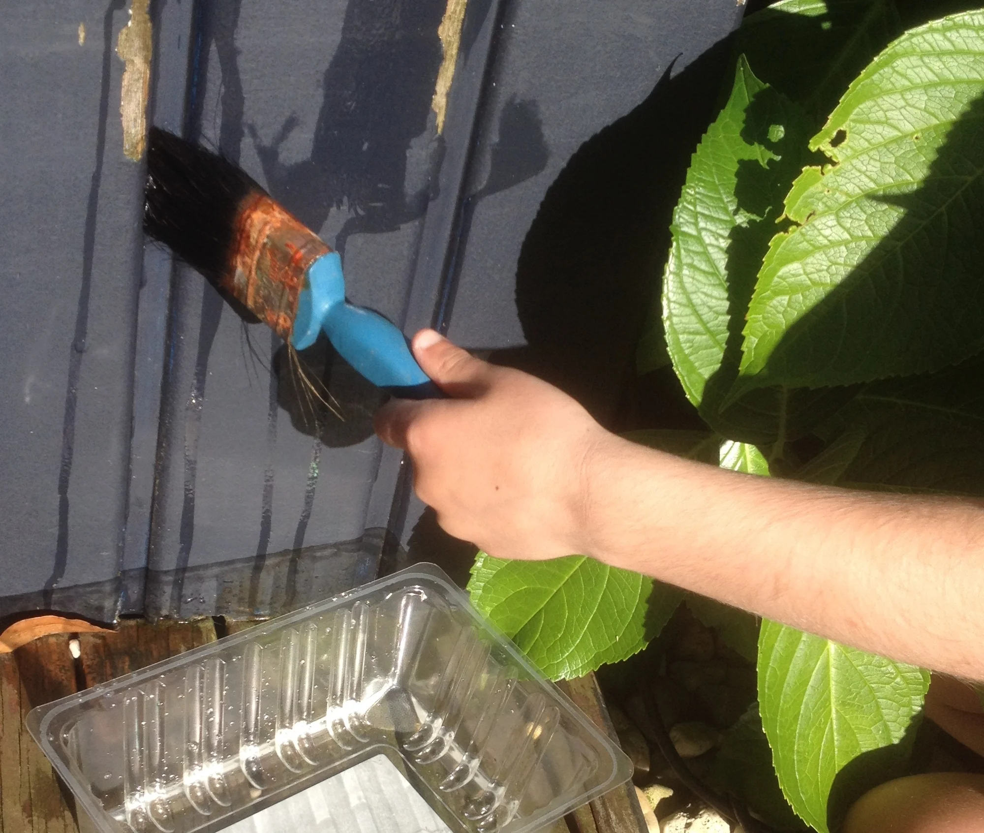 Warm days, cool ideas