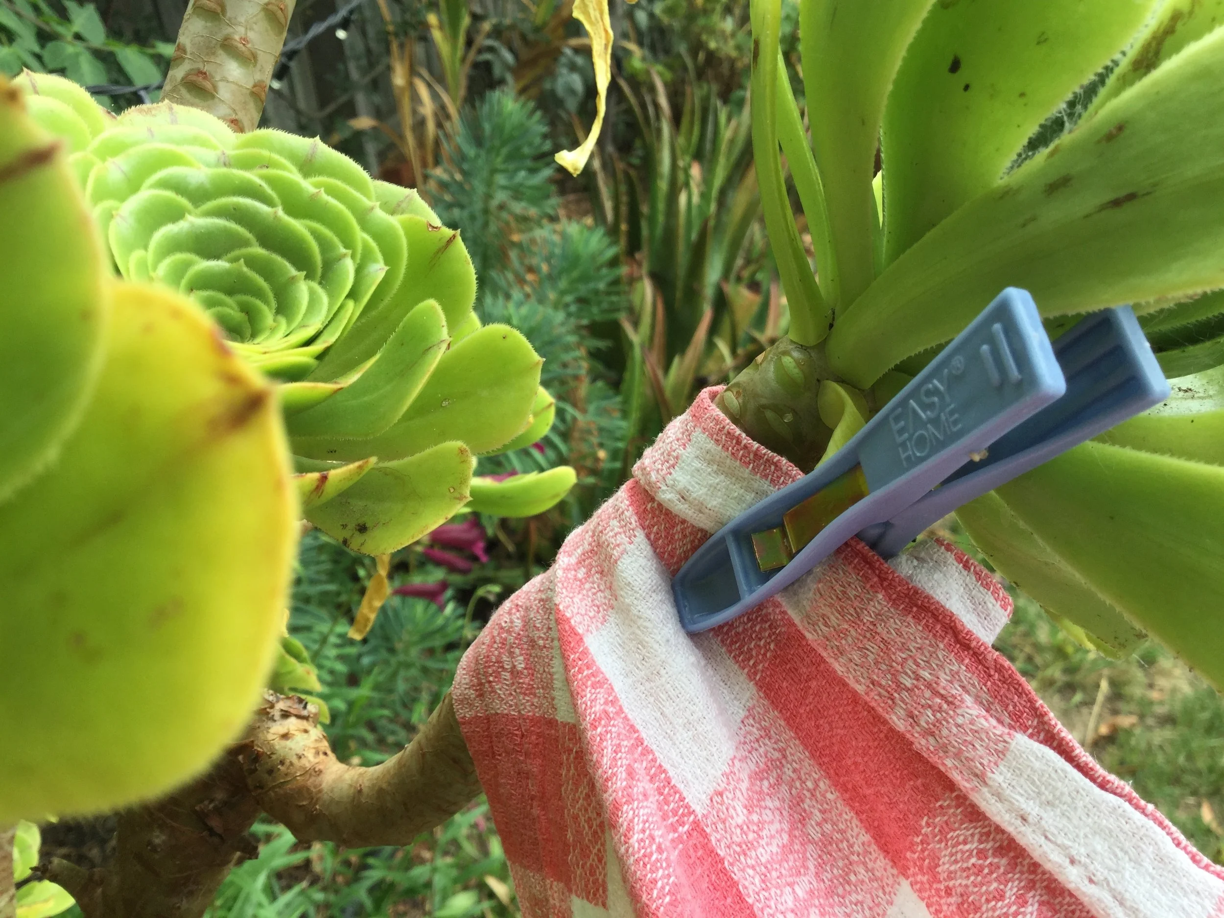 Pegs and bulldog clips are perfect for attaching fabric to branches.
