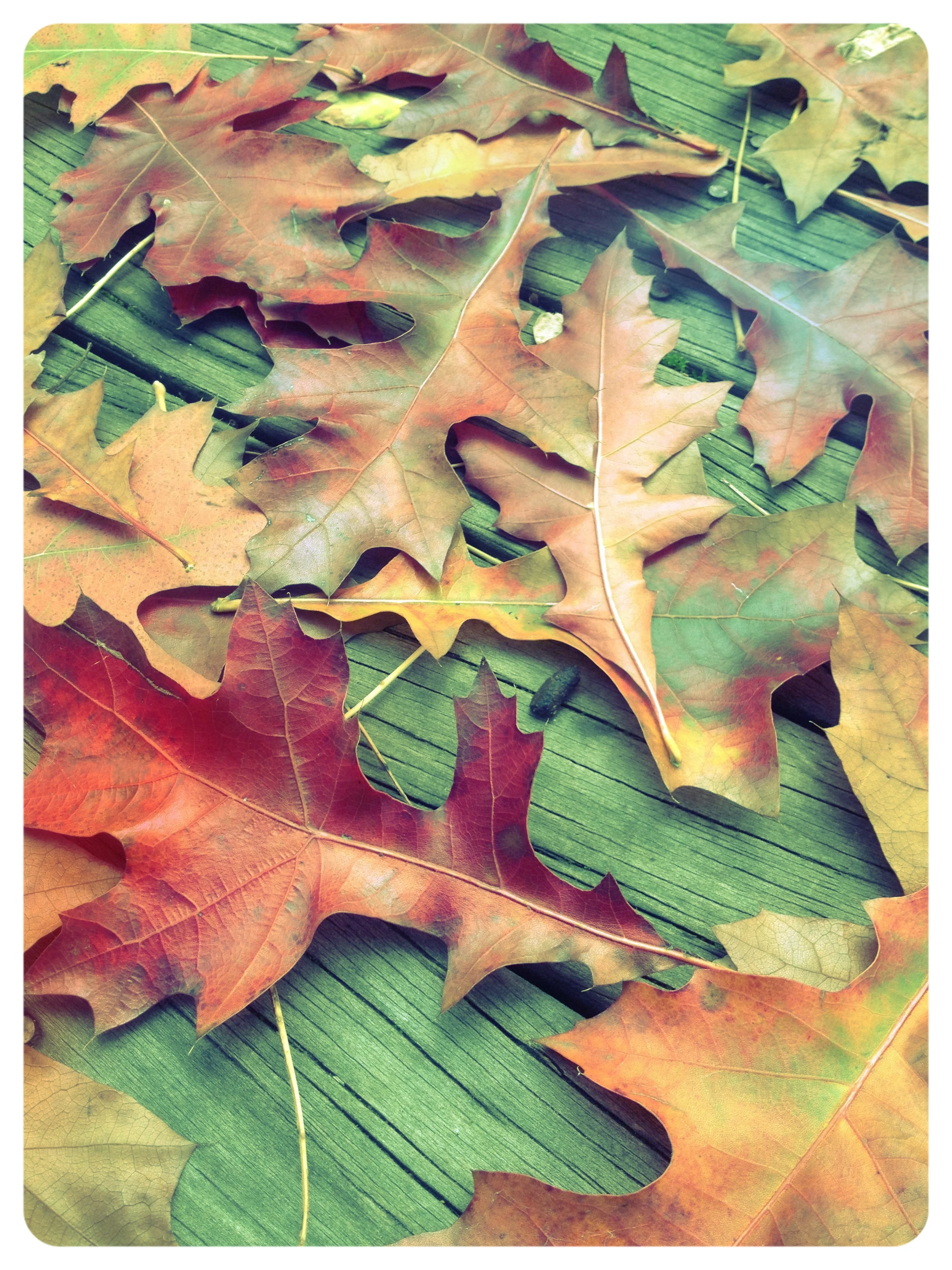 Autumn... you're Awesome!