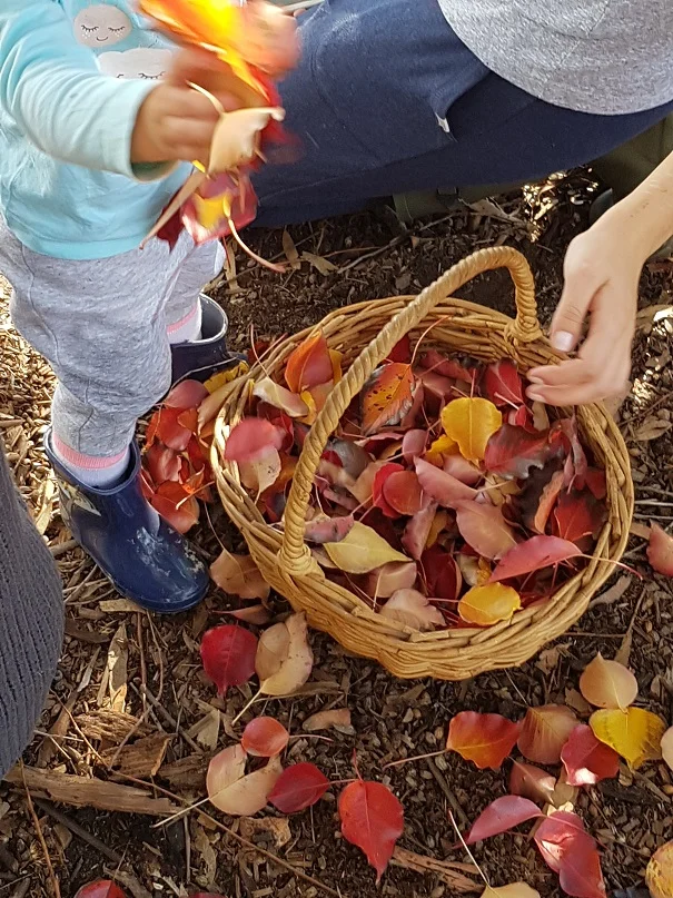 There are still a few autumn leaves around. These are wonderful for potions, or being buried in, or for throwing in the wind.