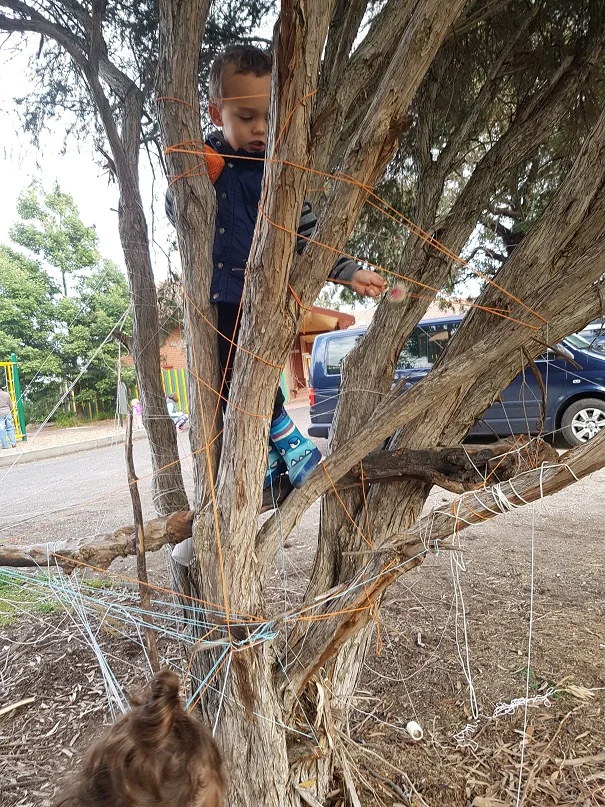 If you're lucky, you might even get a tree climbing experience too!