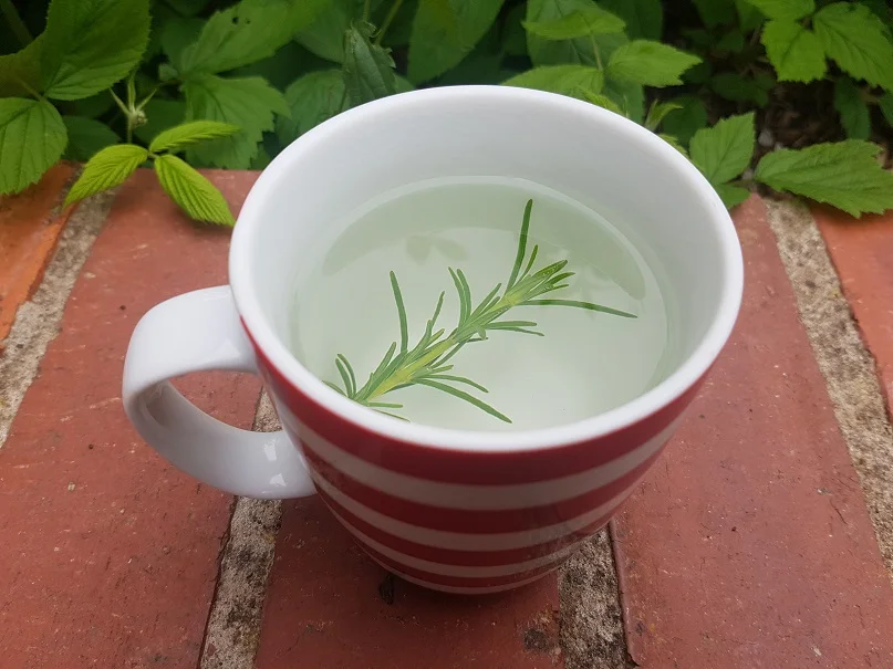 "Rosemary tea"