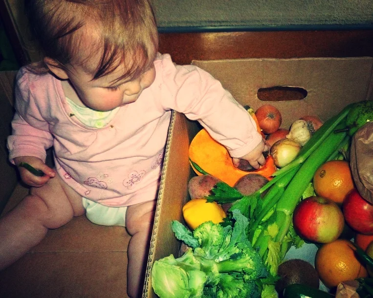 Order a seasonal vegetable box and let the kids open it and touch it all.