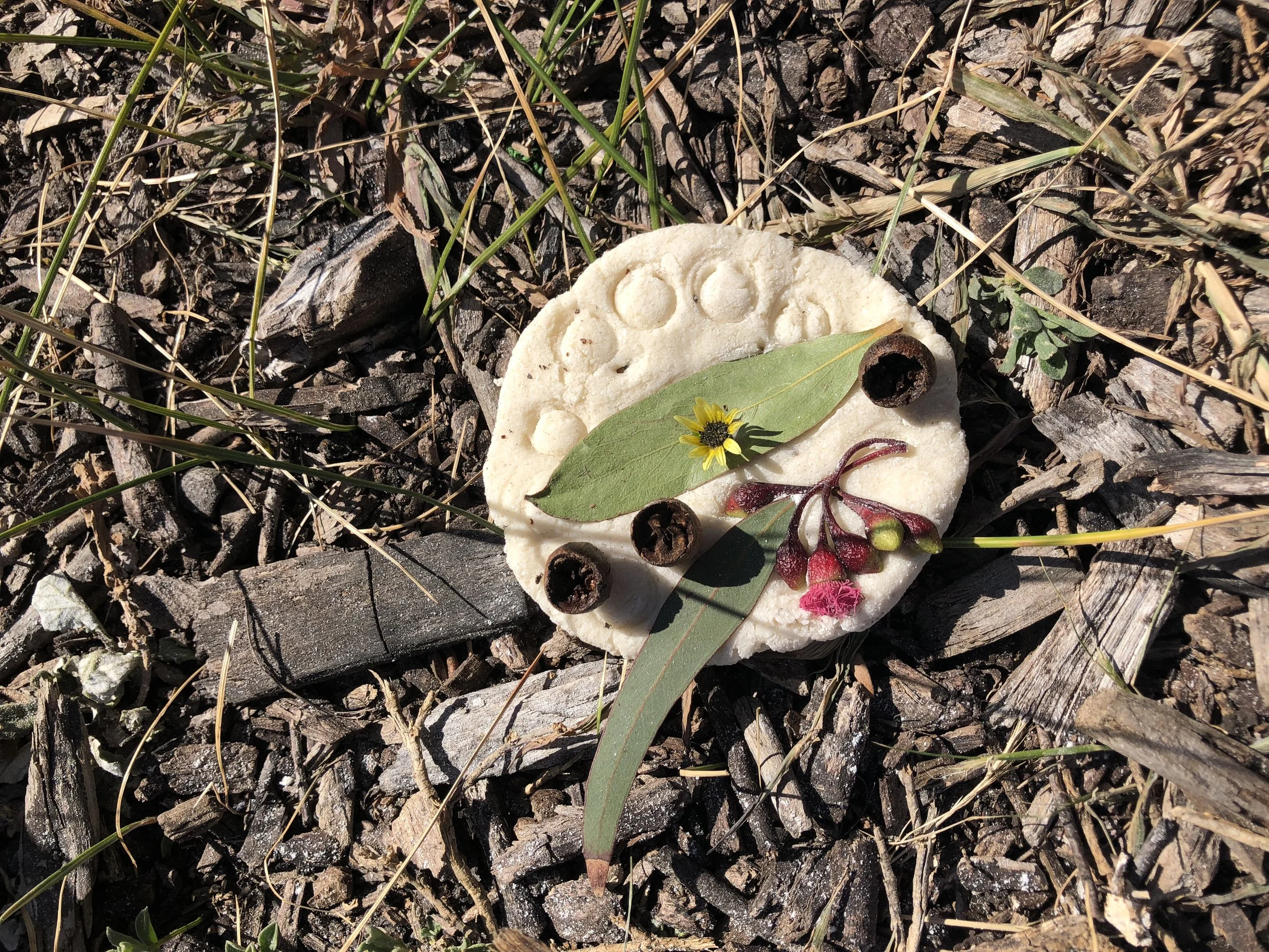 Little Treasures (Part 1)