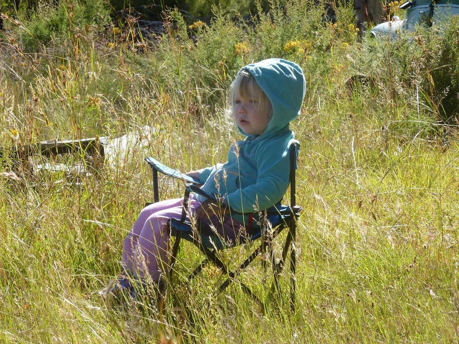 pondering the world