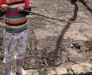 Gum nuts, leaves and sticks blowing in the wind