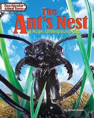 The ants nest a huge underground city.jpg
