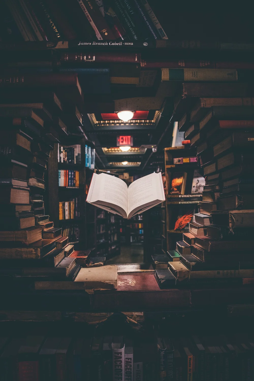 The Magic of Libraries - Part I — little bluebirds