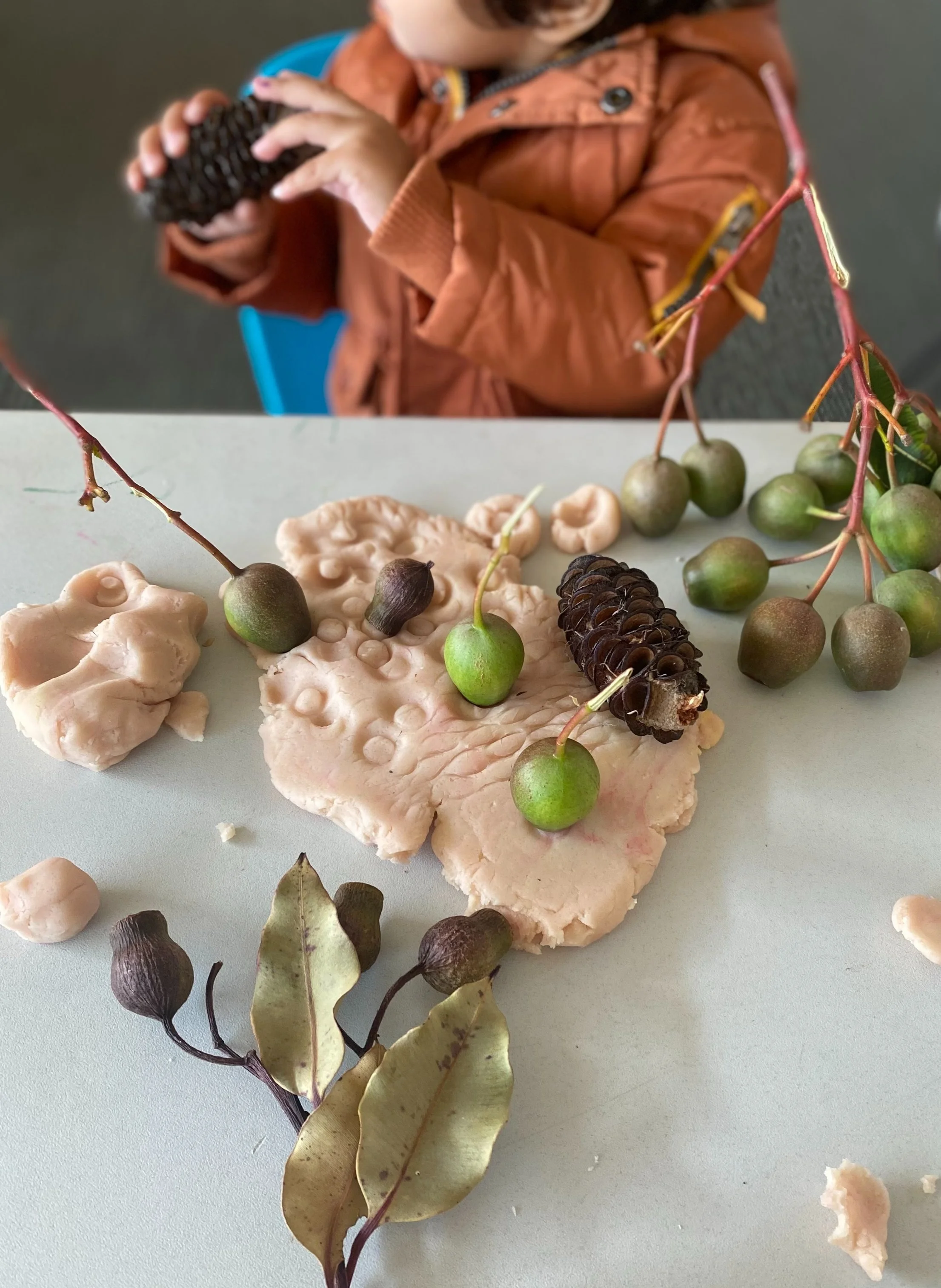 Gumnut babies