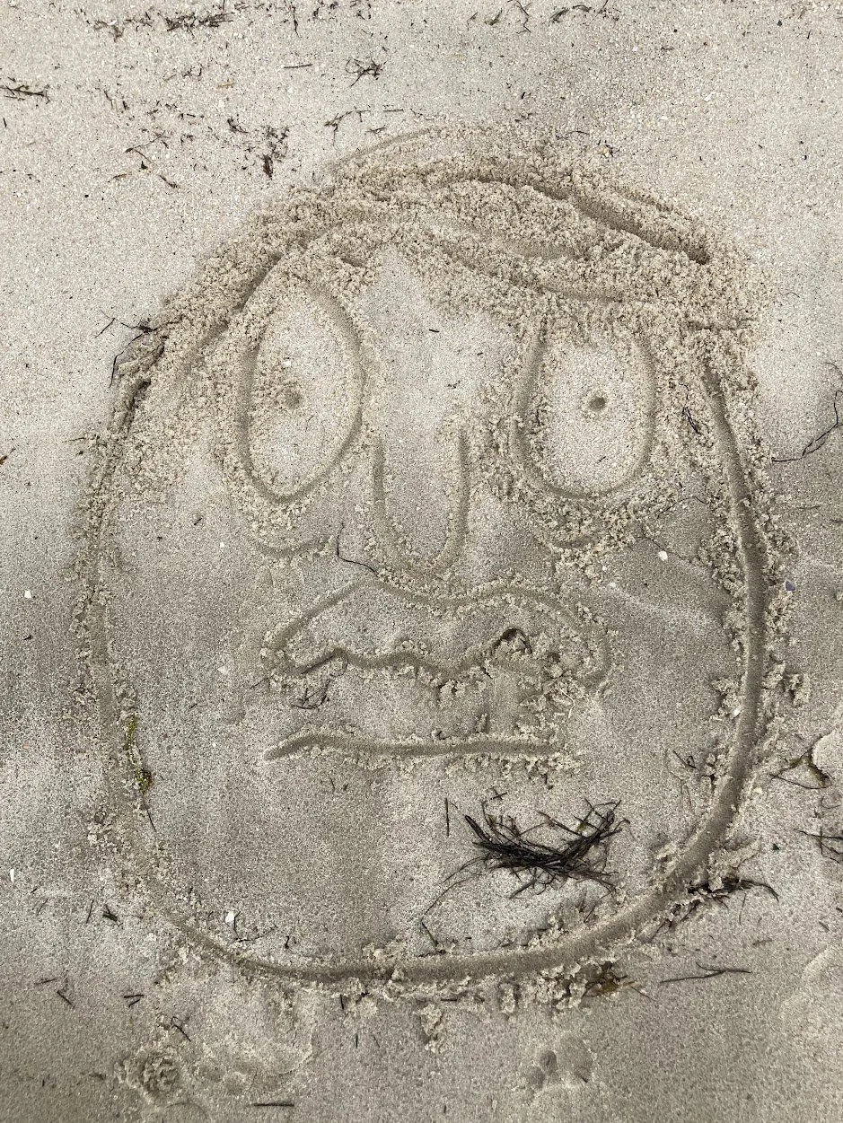 beach 2.jpg