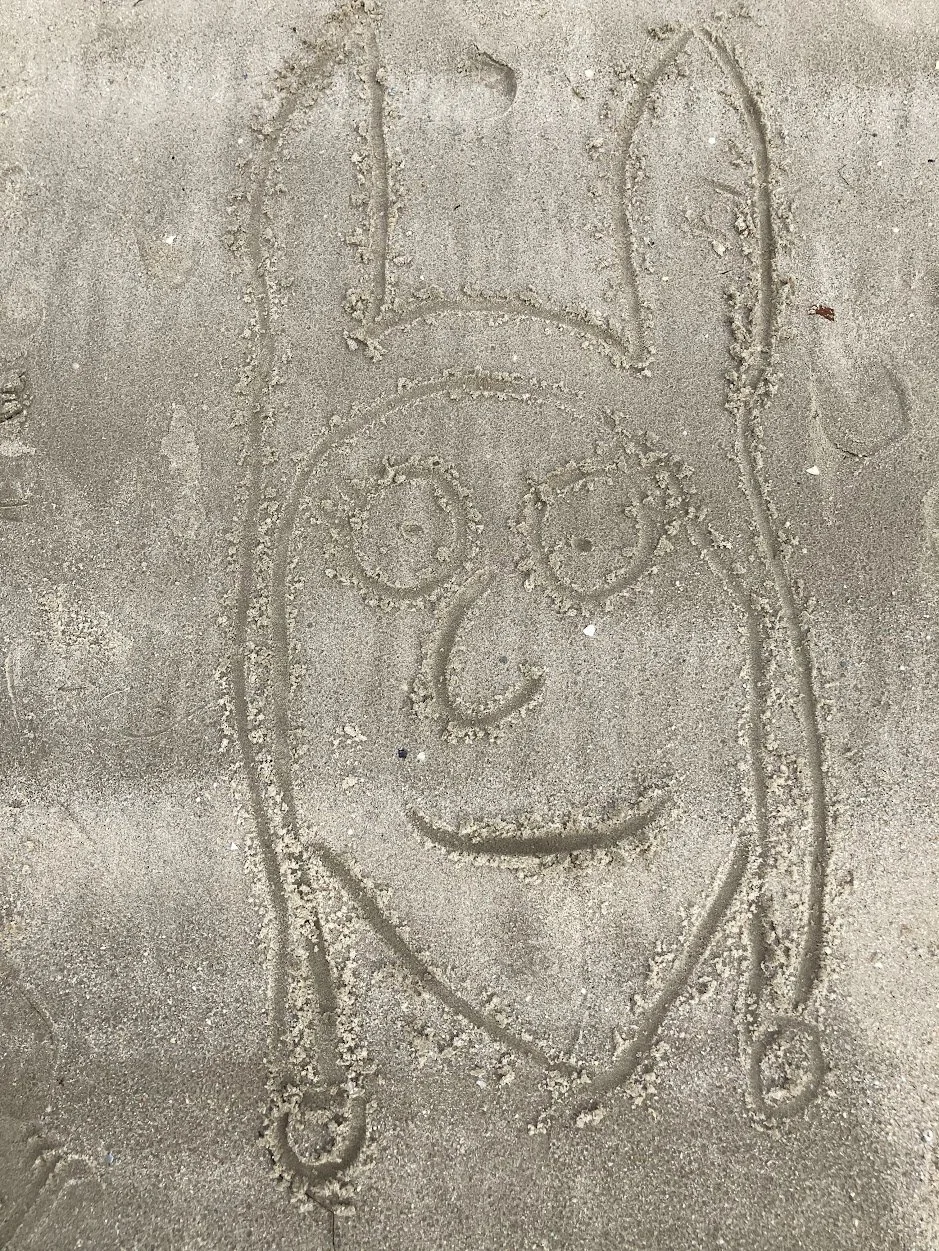 beach.jpg