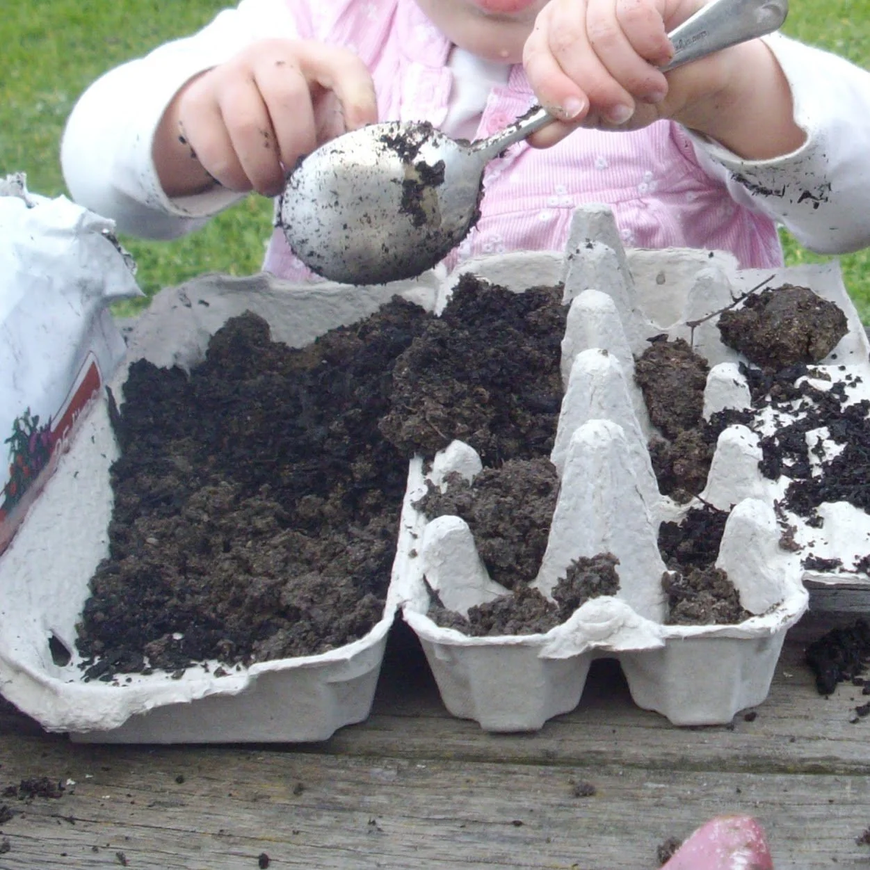 Tiny Gardeners