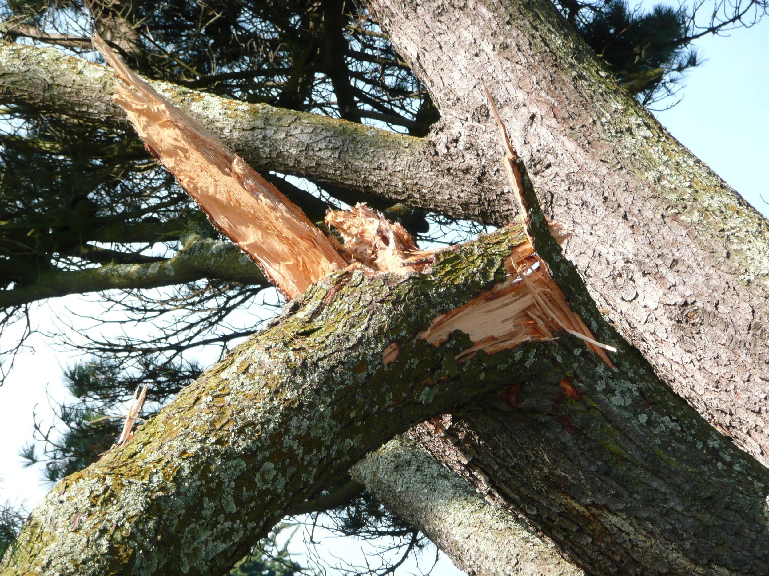 2009-12-8-10.jpg