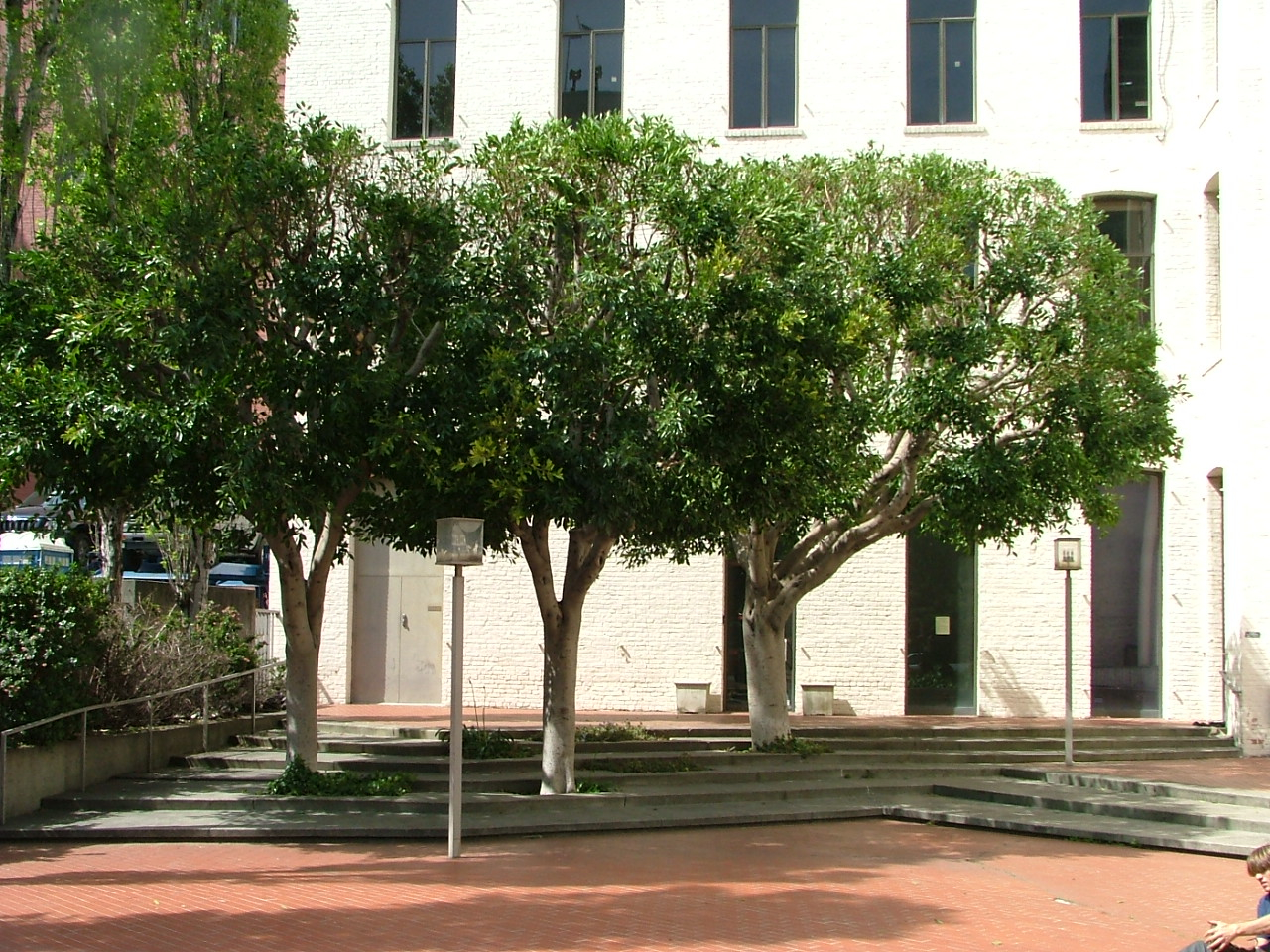 2007-4-26-052.jpg